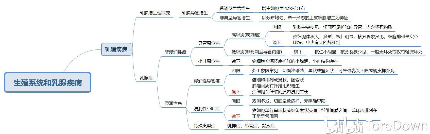 病理学思维导图