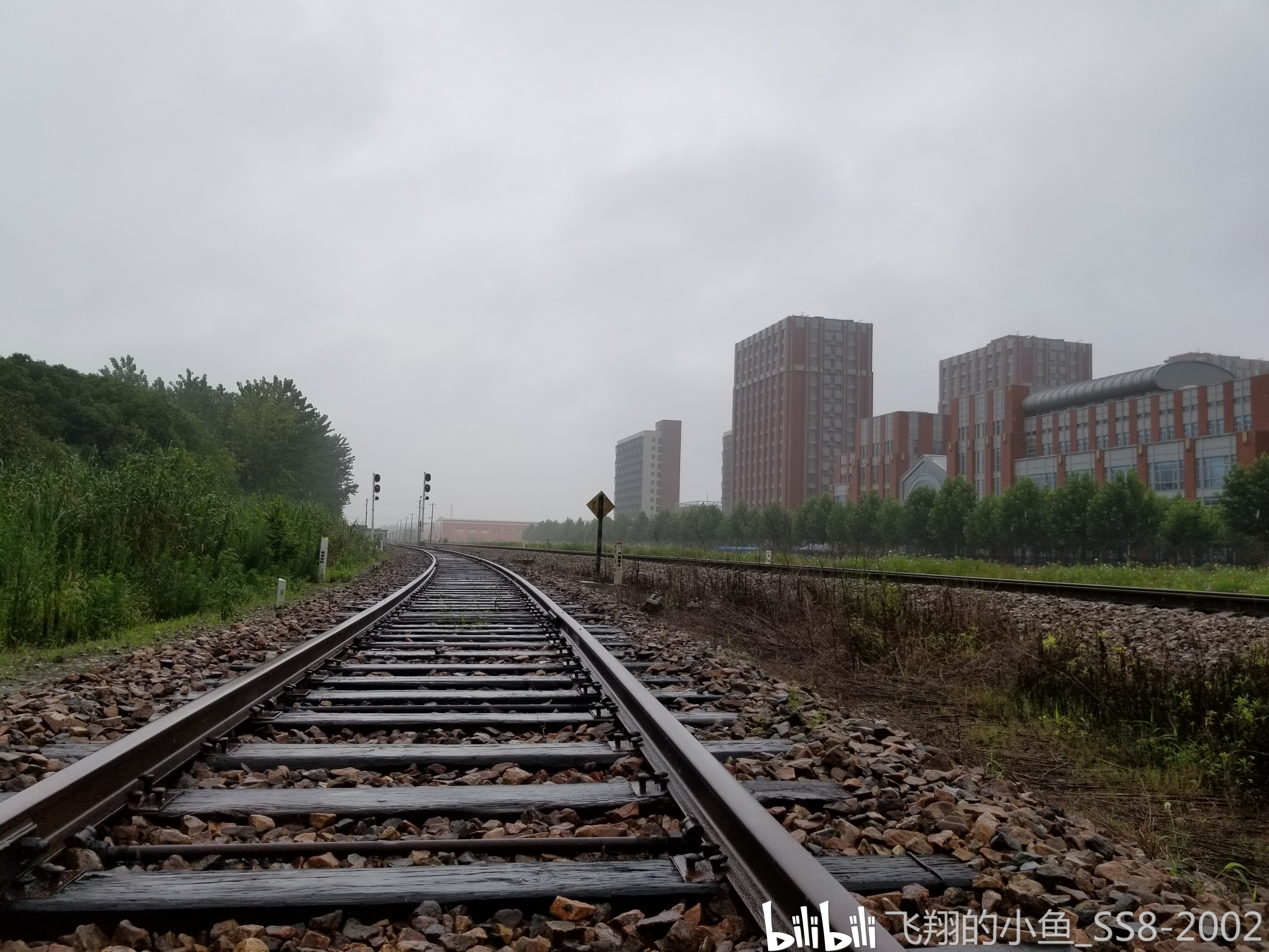 坐落在田边的铁路吴泾支线探访记2