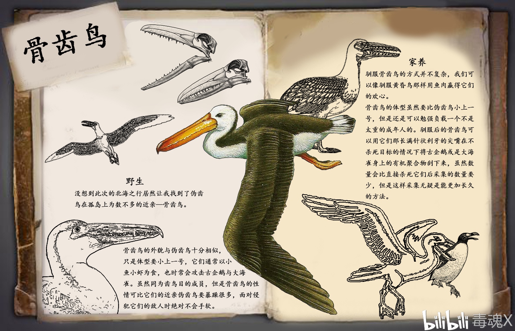 方舟自创生物:骨齿鸟