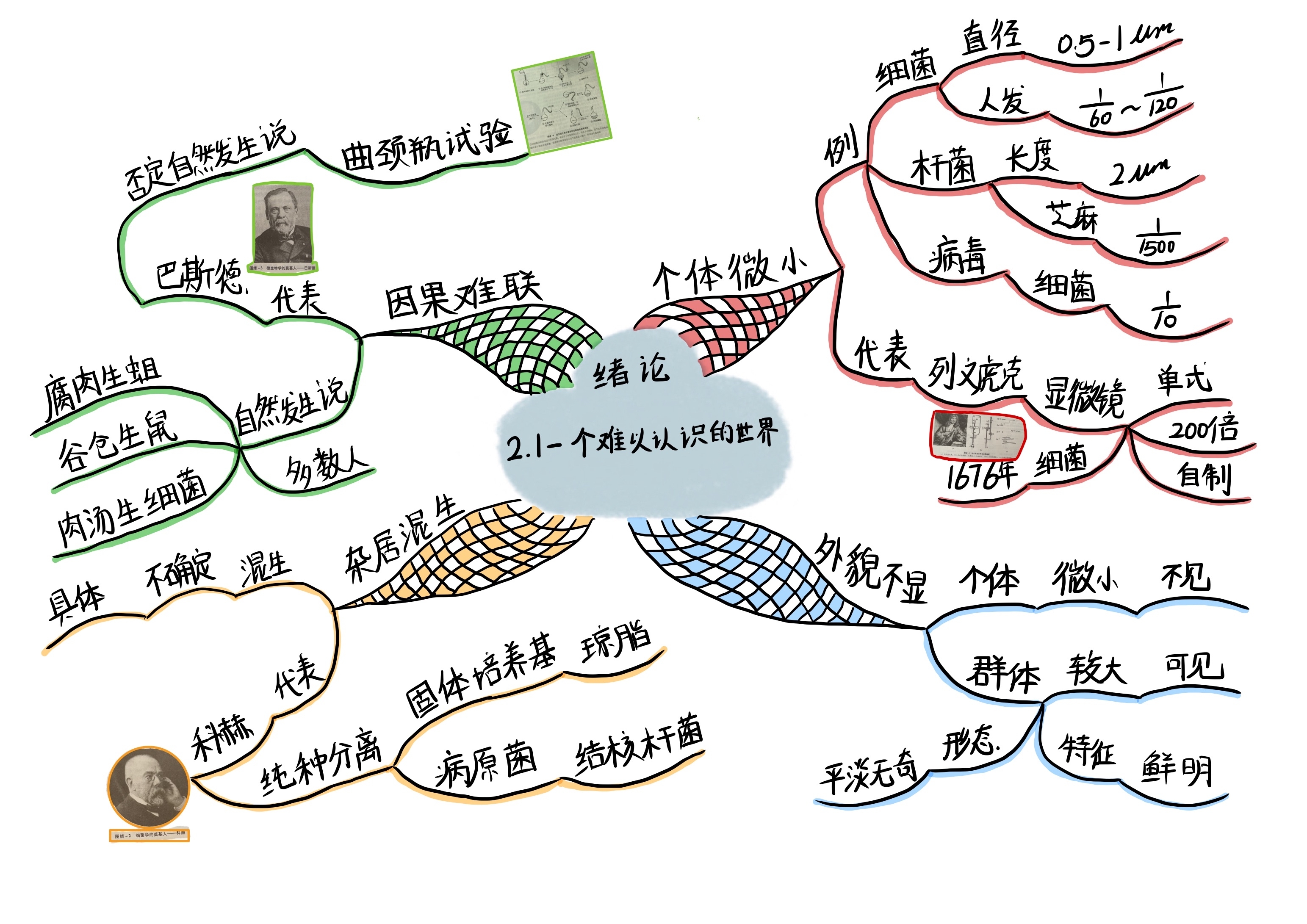 《微生物学教程》绪论-思维导图