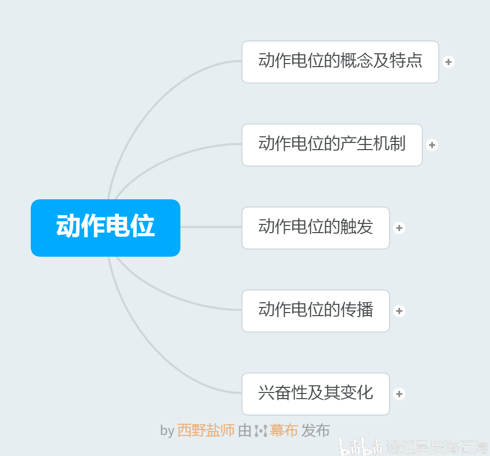 动作电位