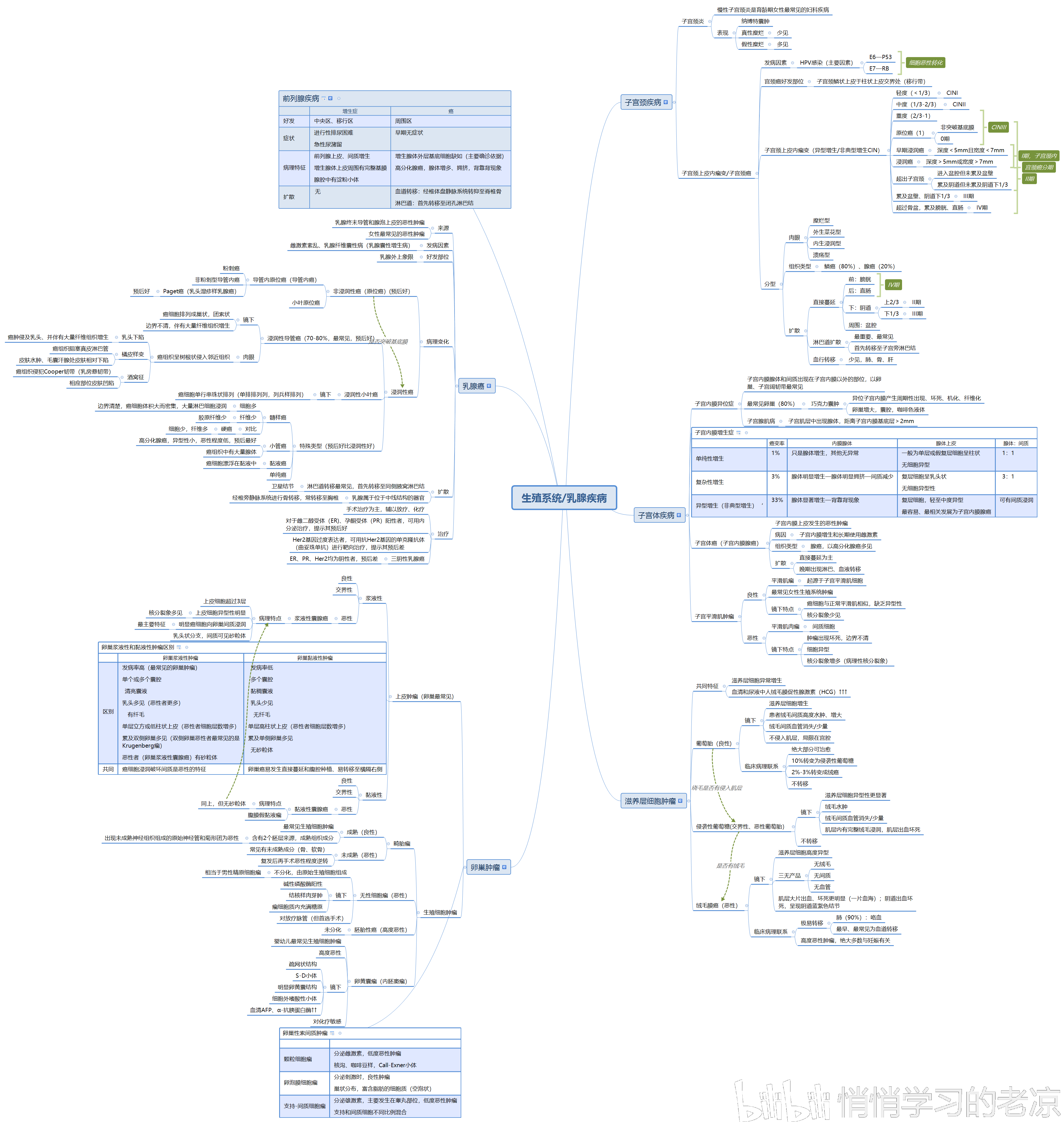 病理学思维导图总