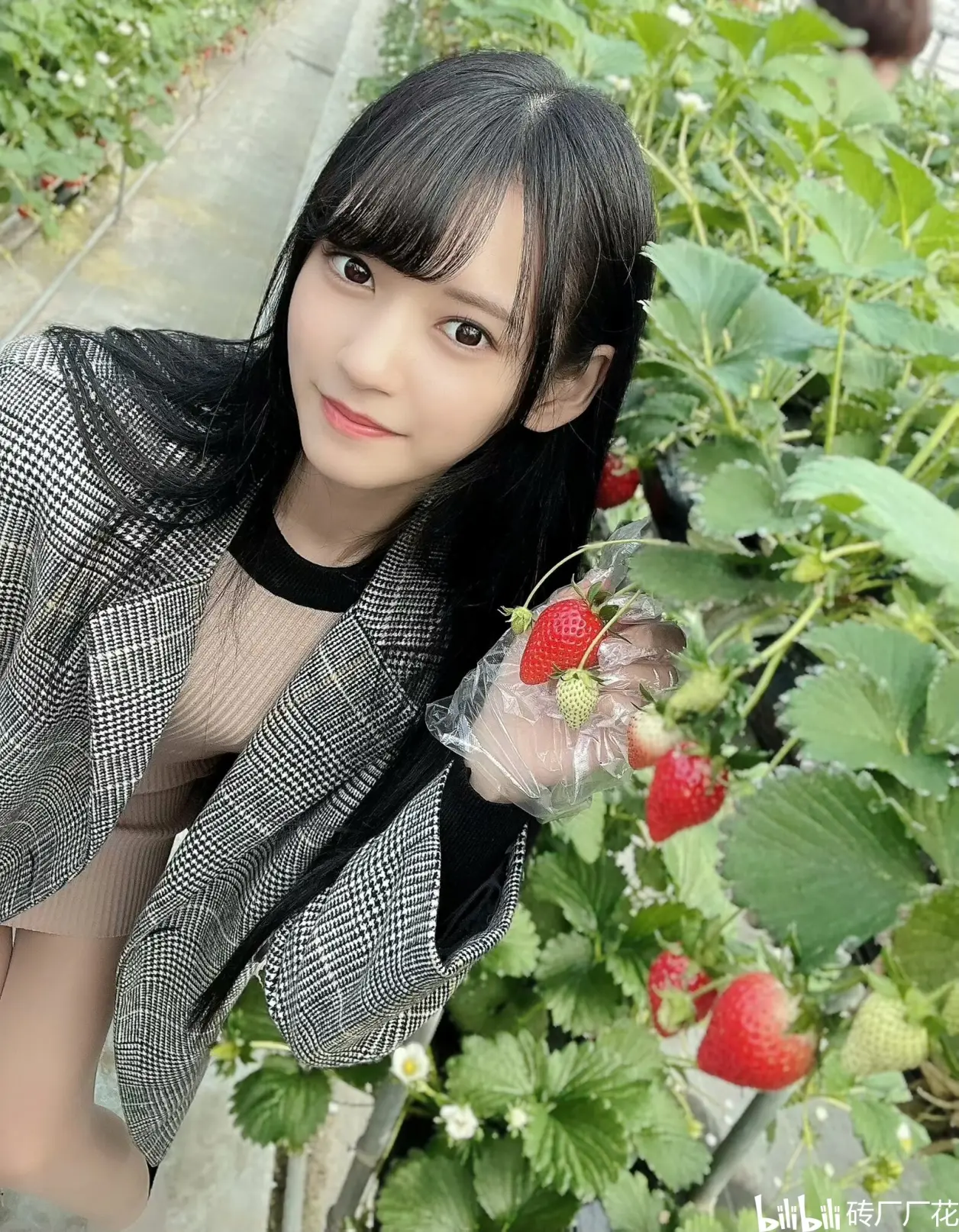 八卦海/八掛うみ/八掛海（阳光海子妹#104）