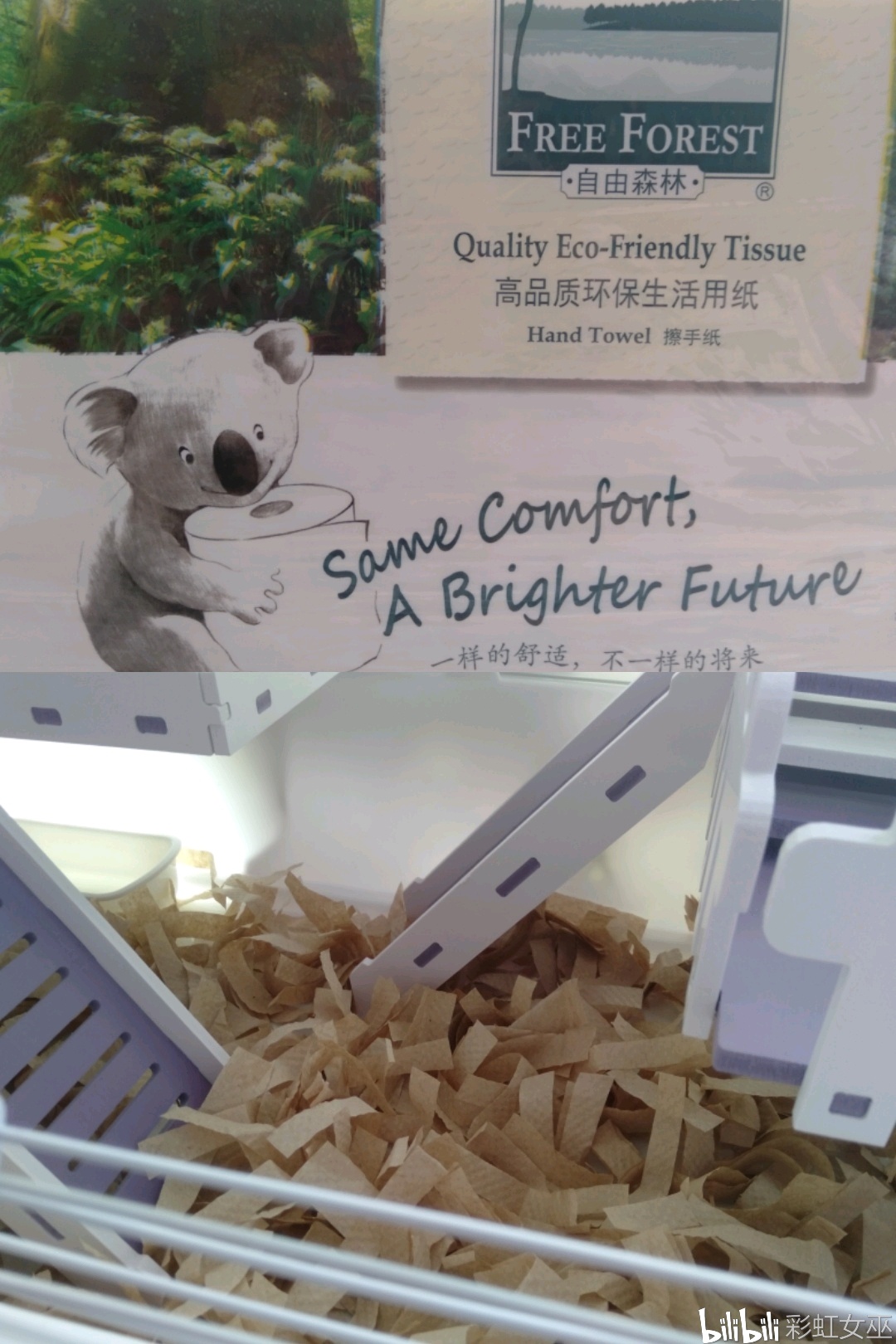 金丝熊是什么类的 1cfccc381bd9e1d015e9c07960d965b74ae54c1a.jpg