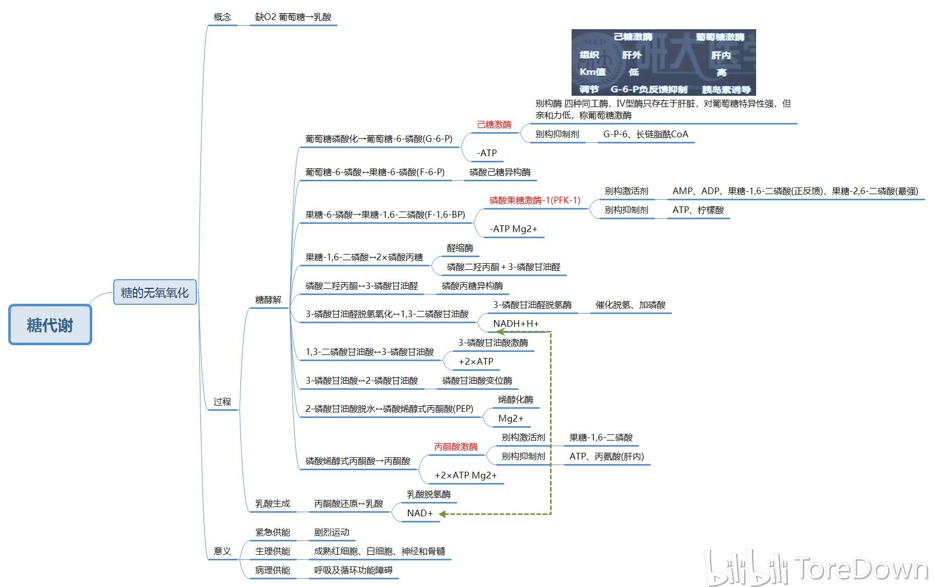 生物化学与分子生物学 思维导图