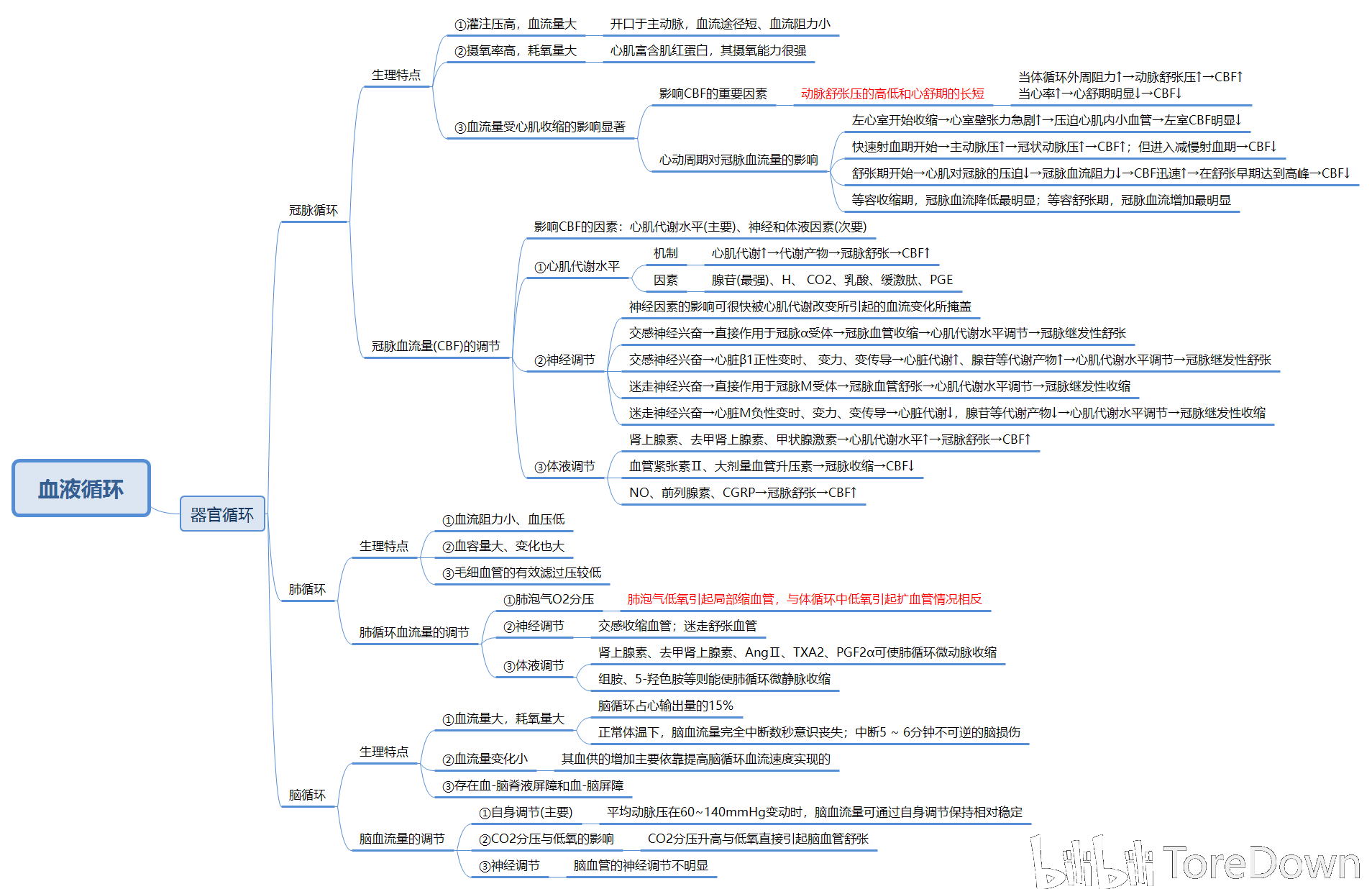 生理学思维导图