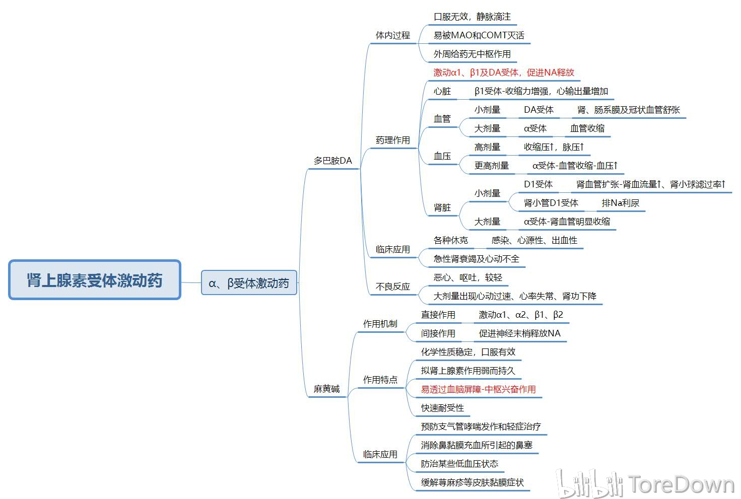 药理学上篇思维导图