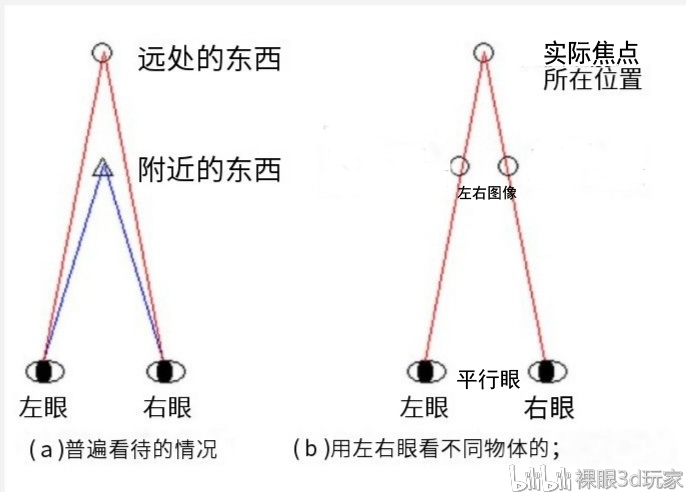 科普必看b站乃至全网最全的立体视成像剖析和平行眼健康使用必须注意