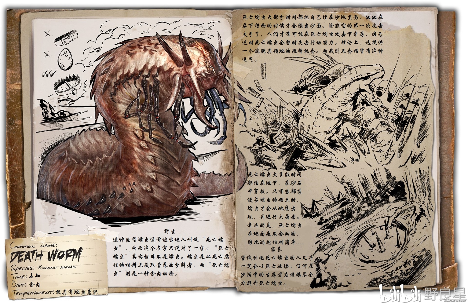 1.死亡蠕虫
