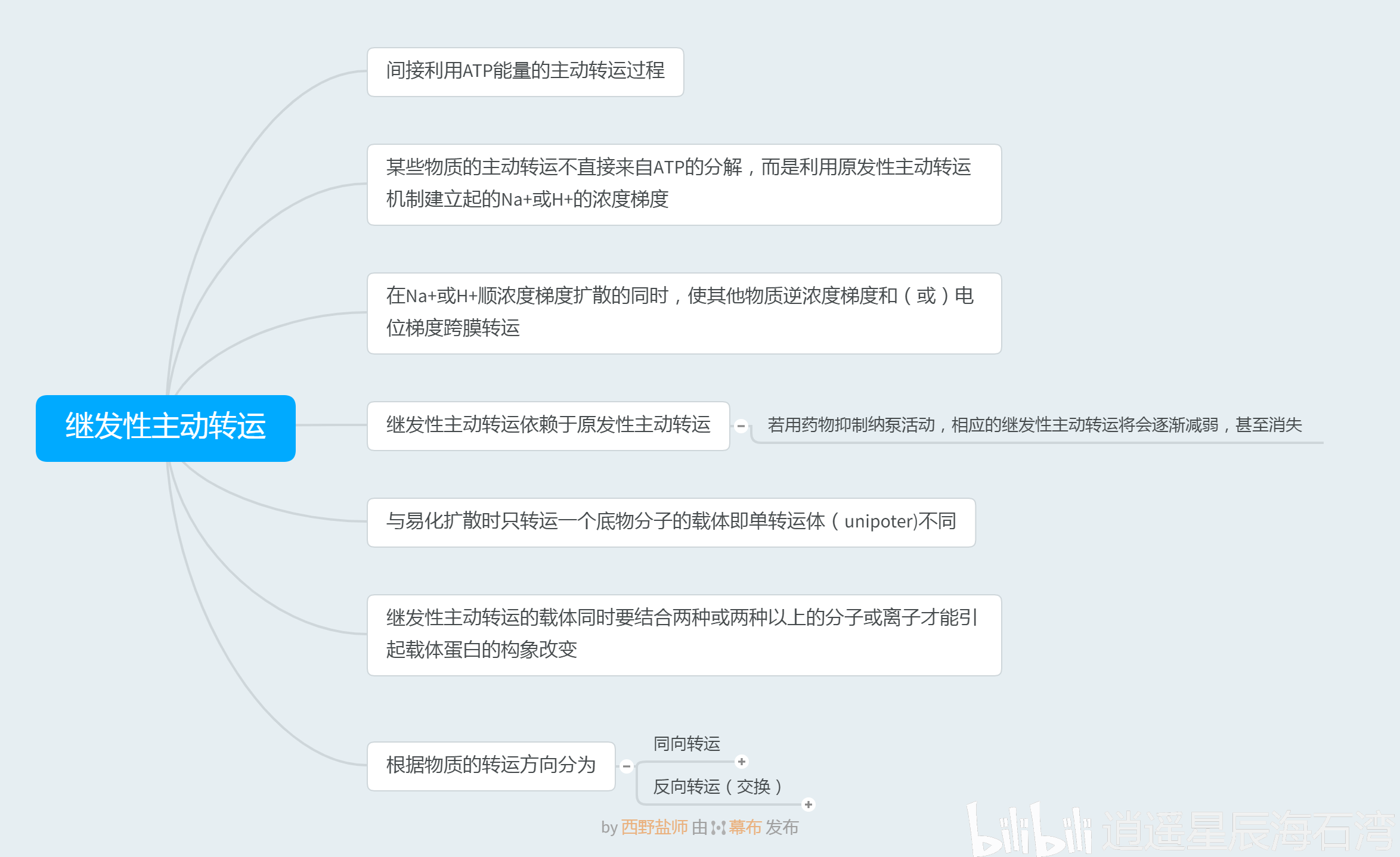 继发性主动转运