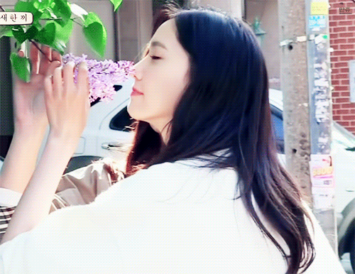 在大自然中的人间悦诗风吟林允儿