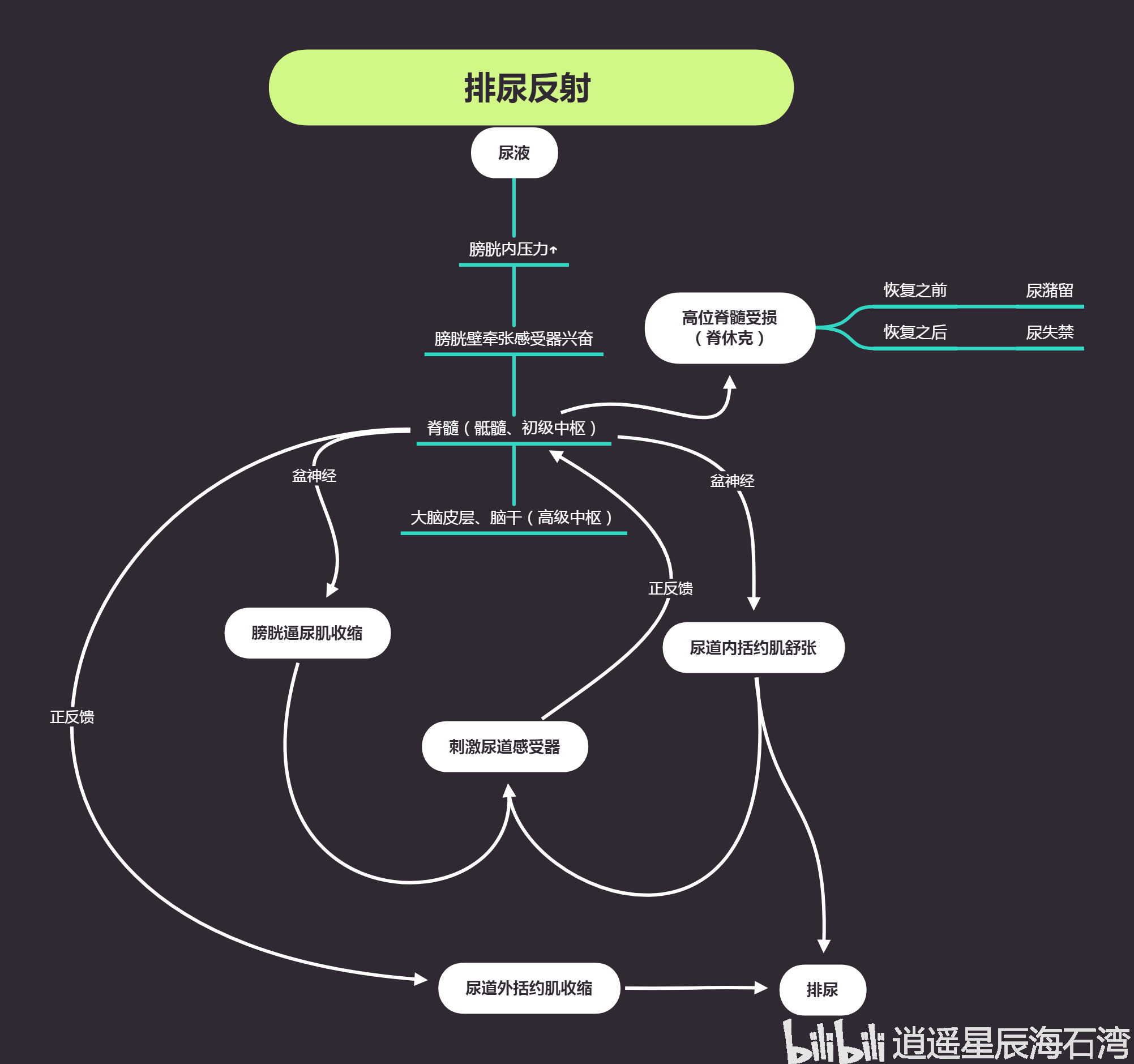 排尿反射的那些事儿
