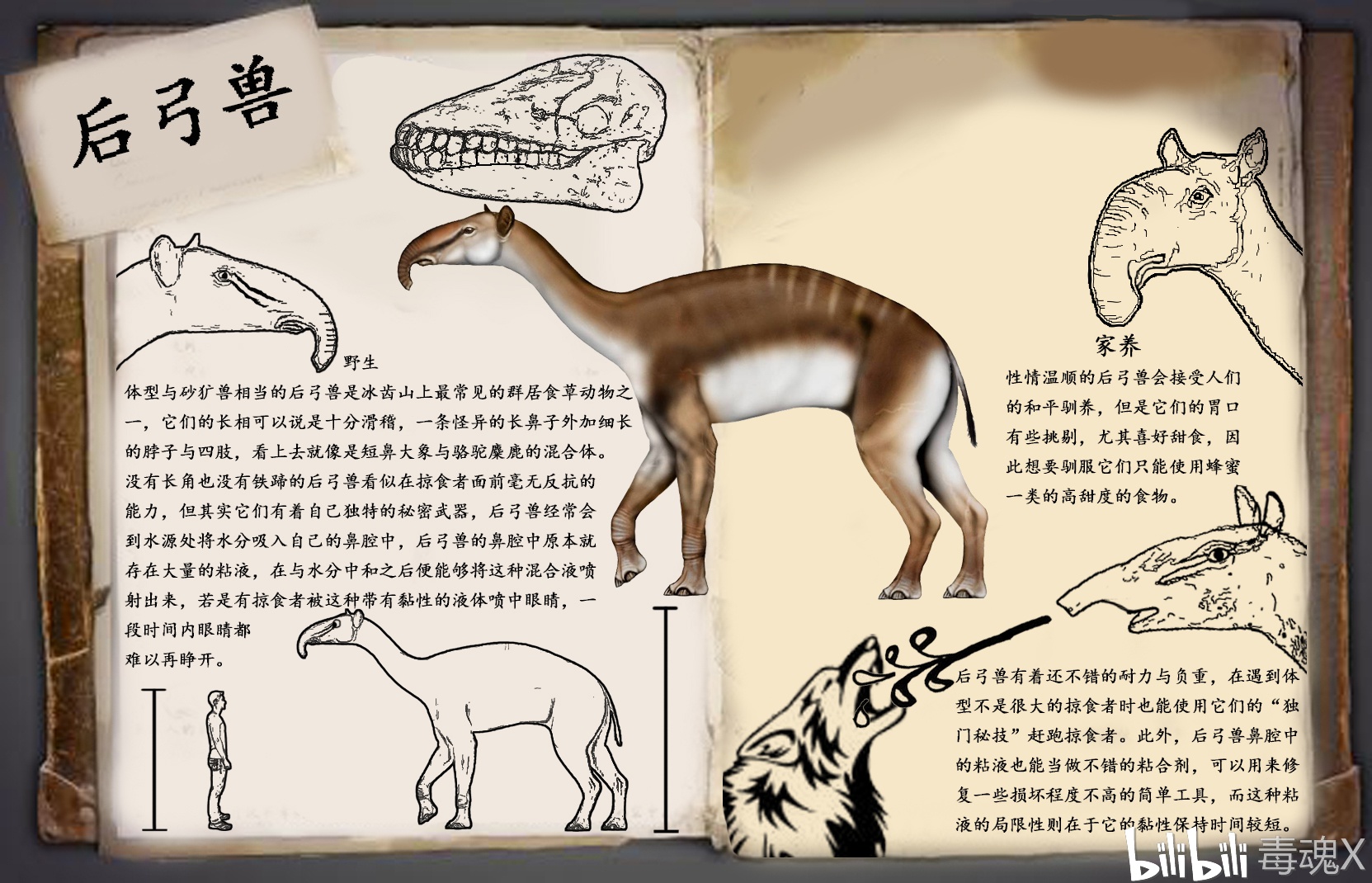 方舟自创生物:后弓兽
