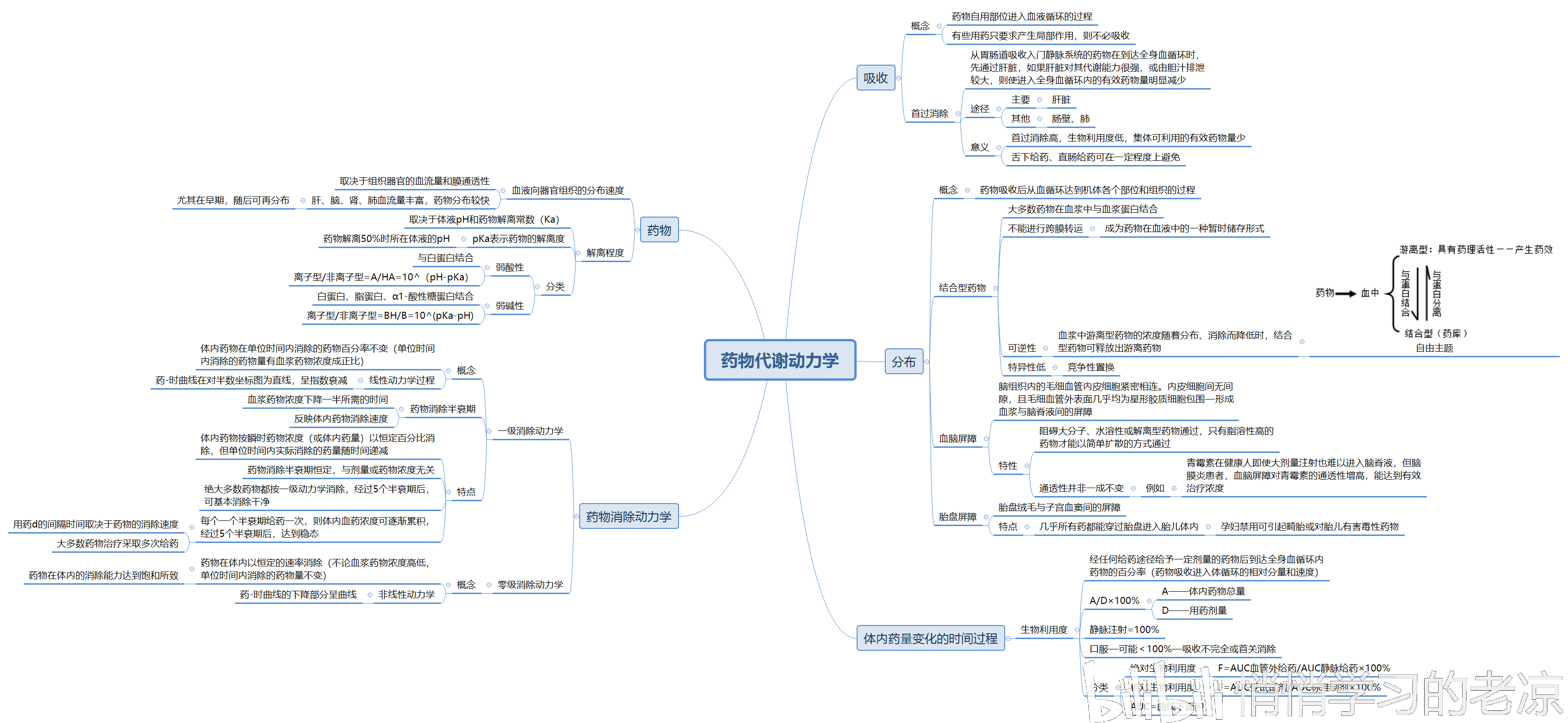 《系统解剖学》思维导图