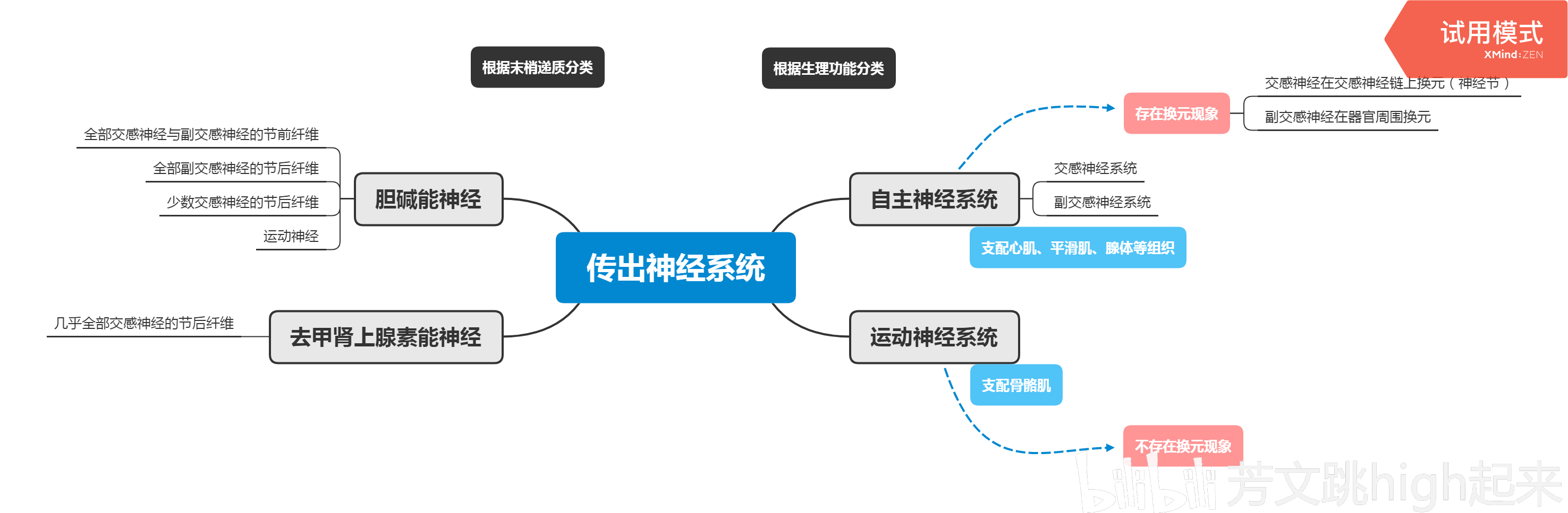 学业报告书大三上学期②药理学传出神经系统