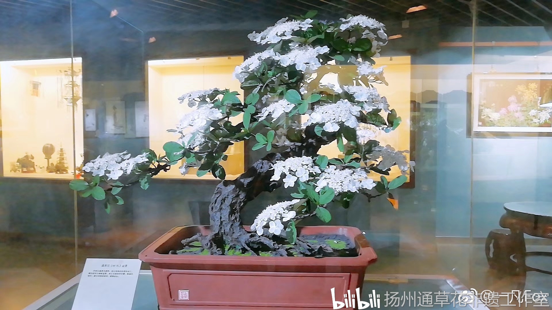 传统手工艺非遗通草花