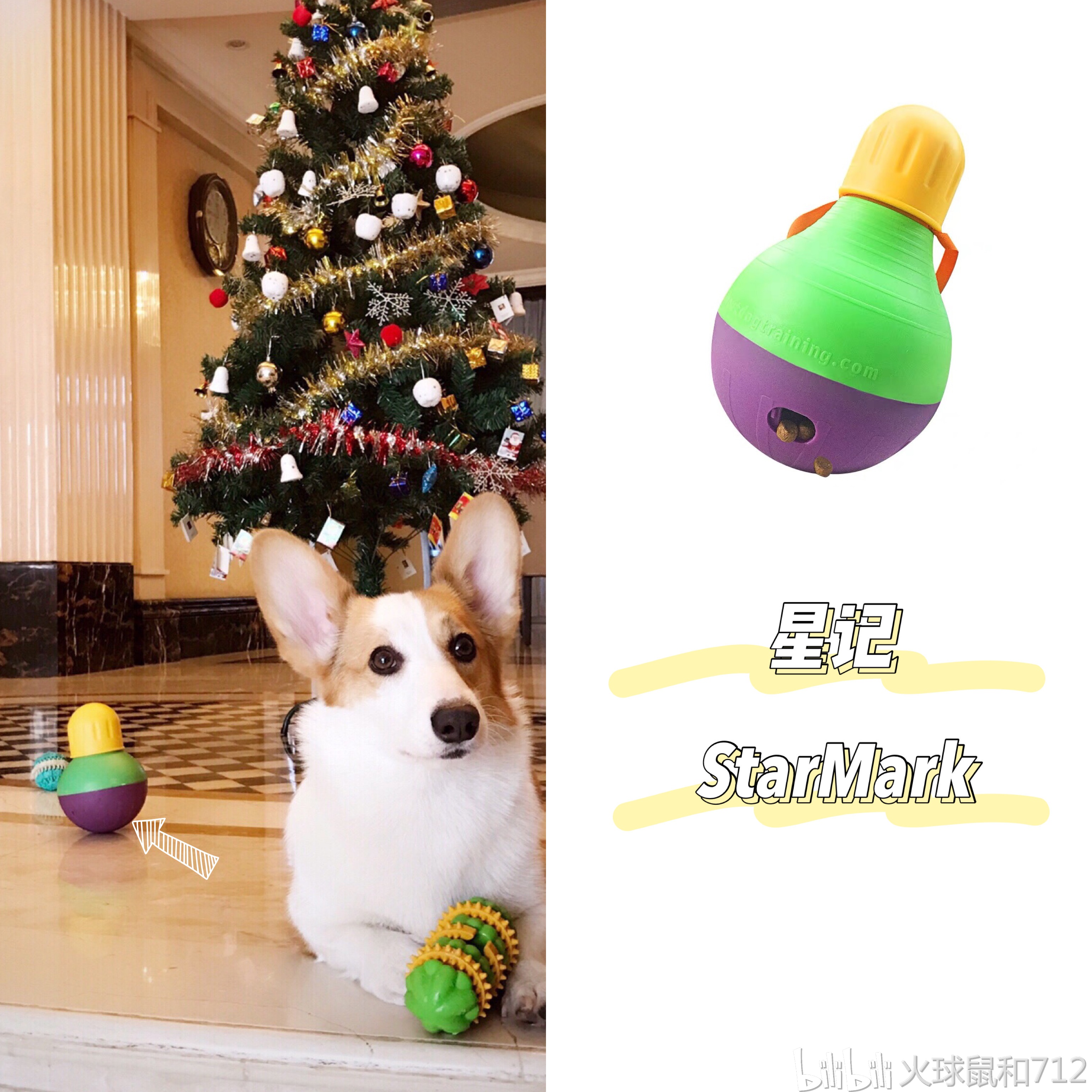 许嵩和格洛米