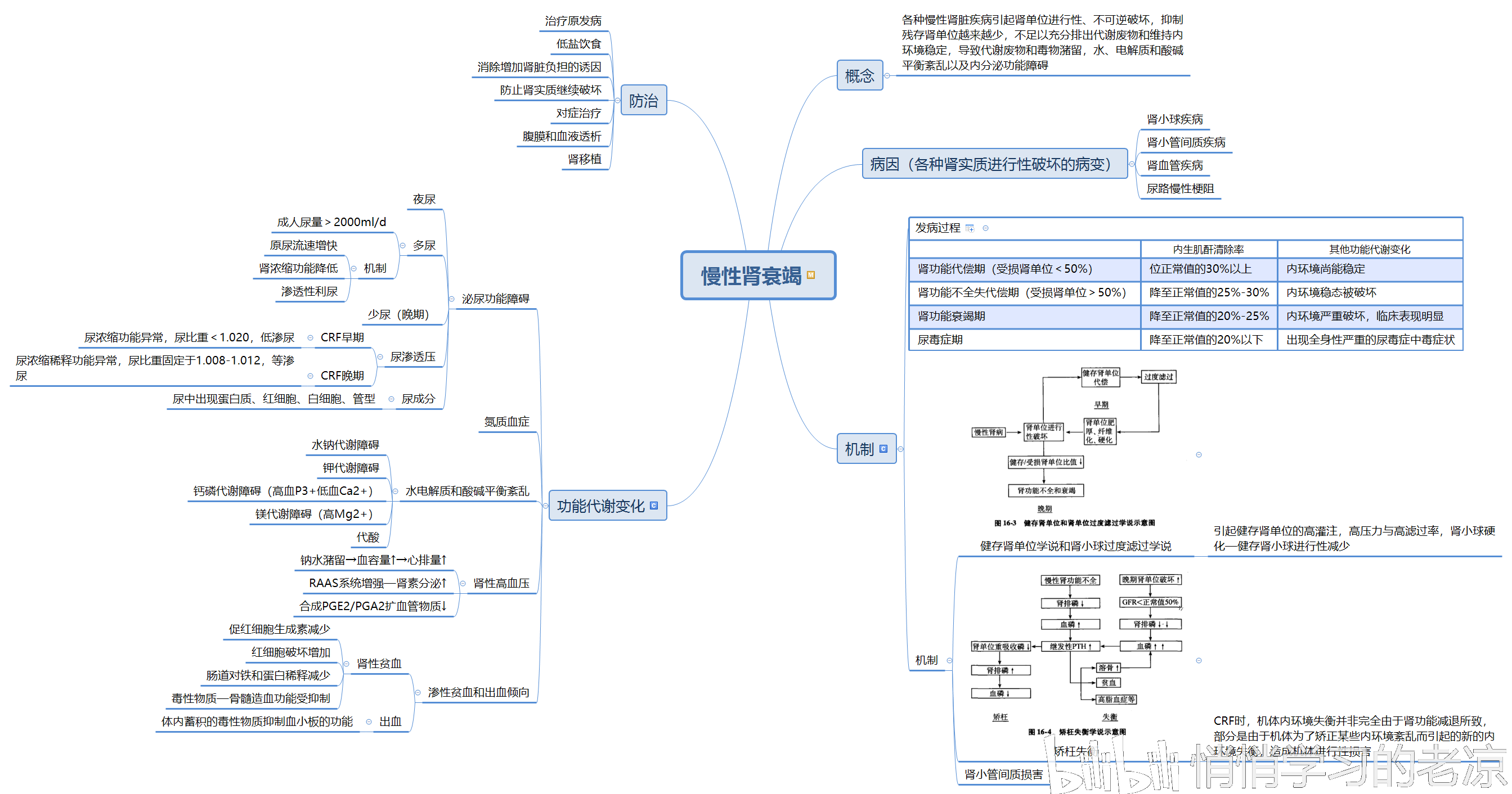 病理生理学思维导图总
