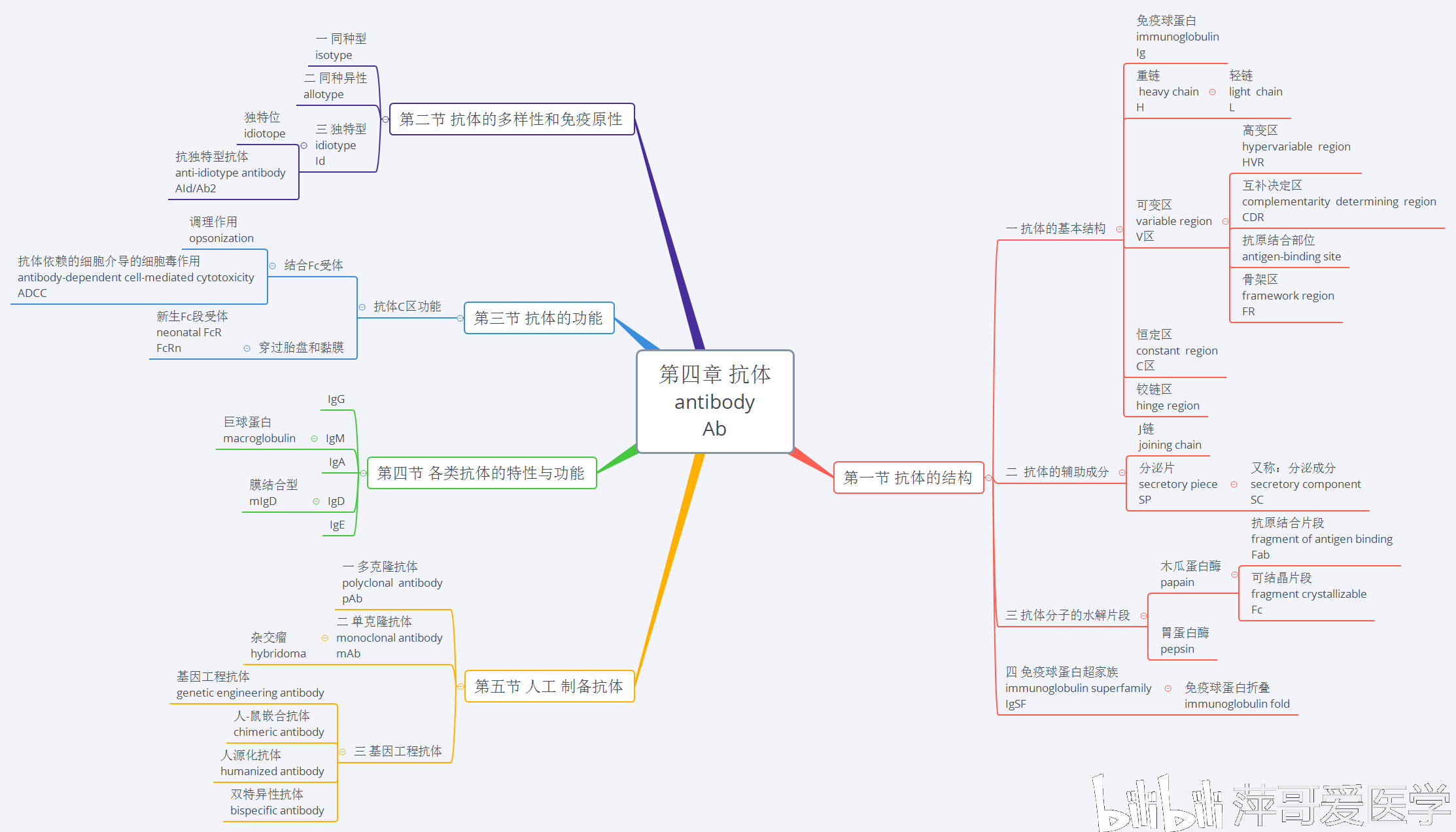 医学免疫学思维导图名词中英文对照沈阳医学院25章萍哥