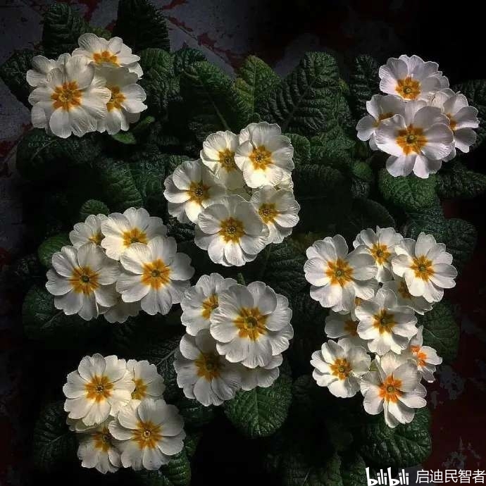 3c9a2416c42fb371bb44a1b22ff5680a631a80a6.jpg
