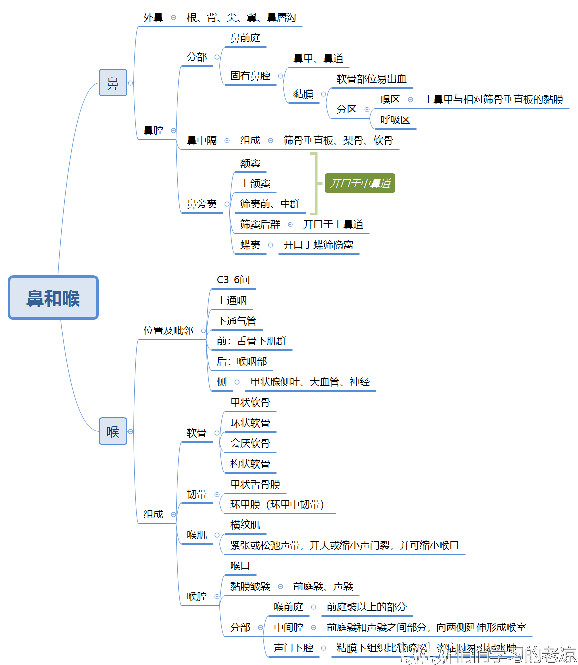 思维导图 制作工具:xmind                      系统解剖学 呼吸系统