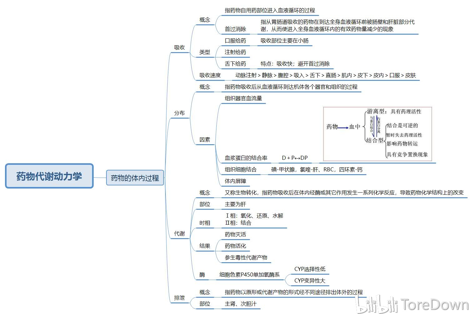 药理学上篇思维导图