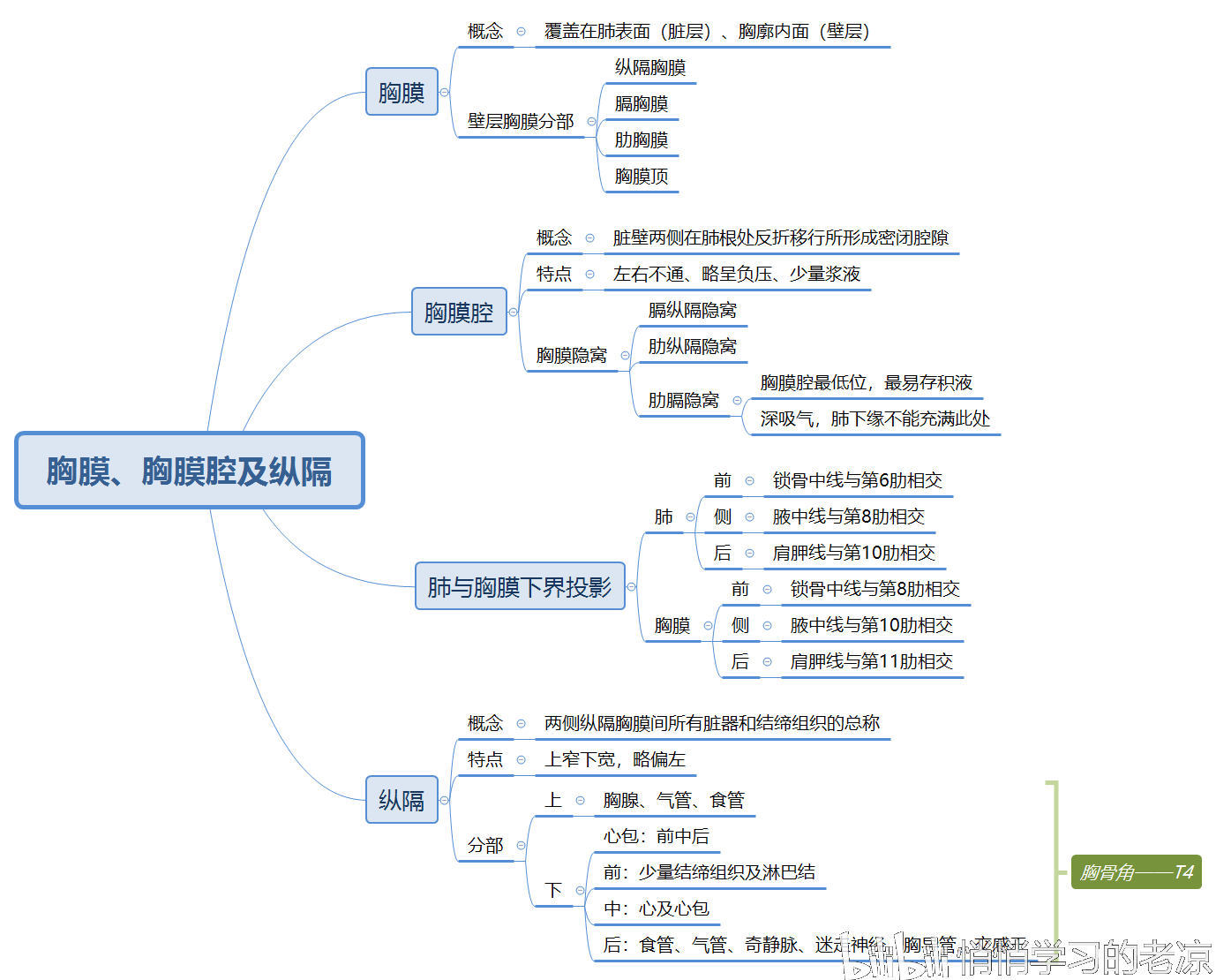 《系统解剖学》思维导图