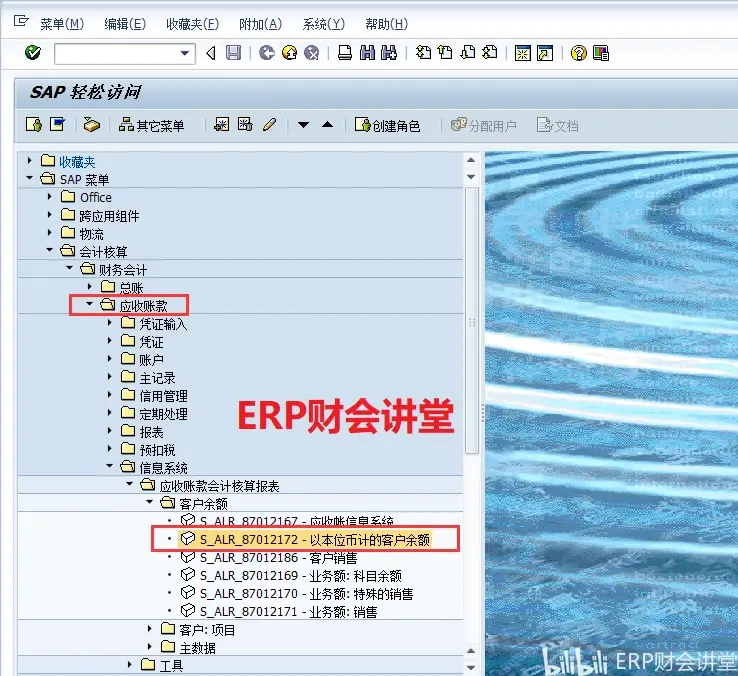 sap软件 客户余额表