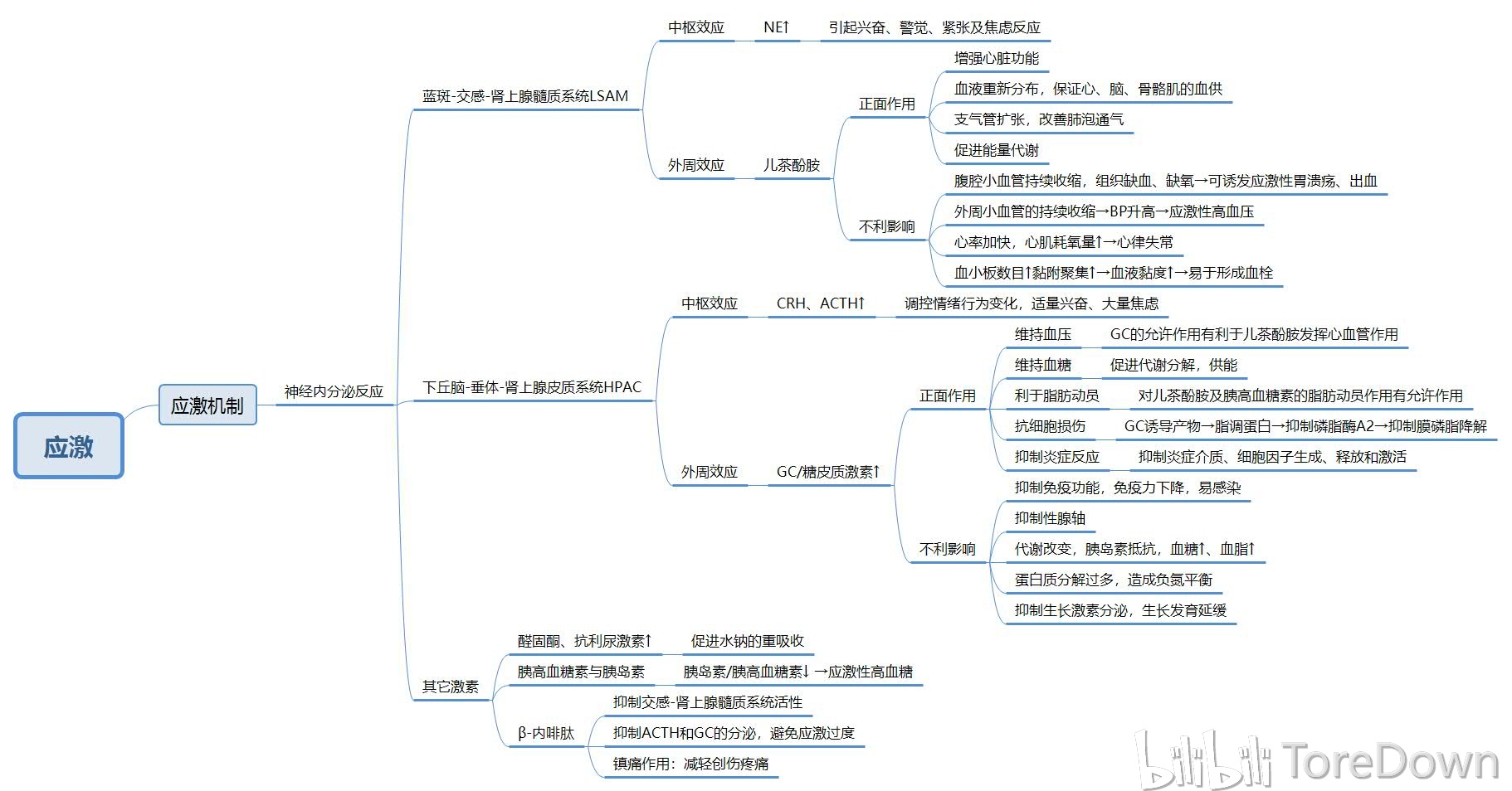 病理生理学 思维导图