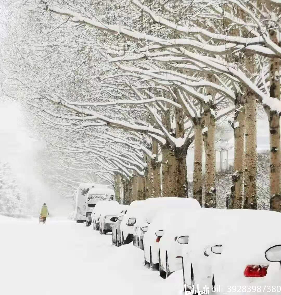 中国哈尔滨和吉林两个省多市降下大雪,雪景"装饰"了朋友圈