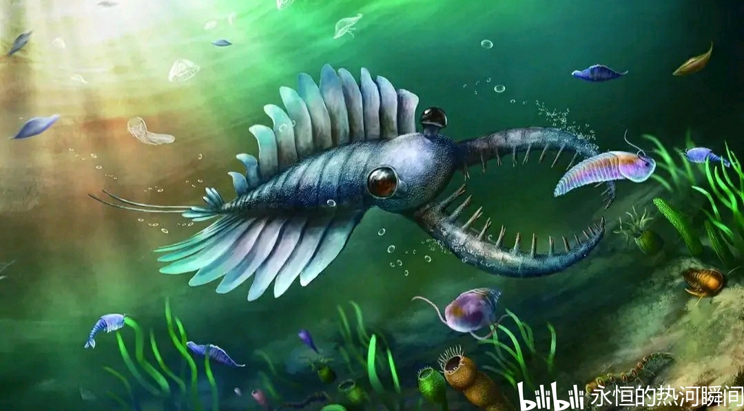 探秘地球最早的动物世界埃迪卡拉纪