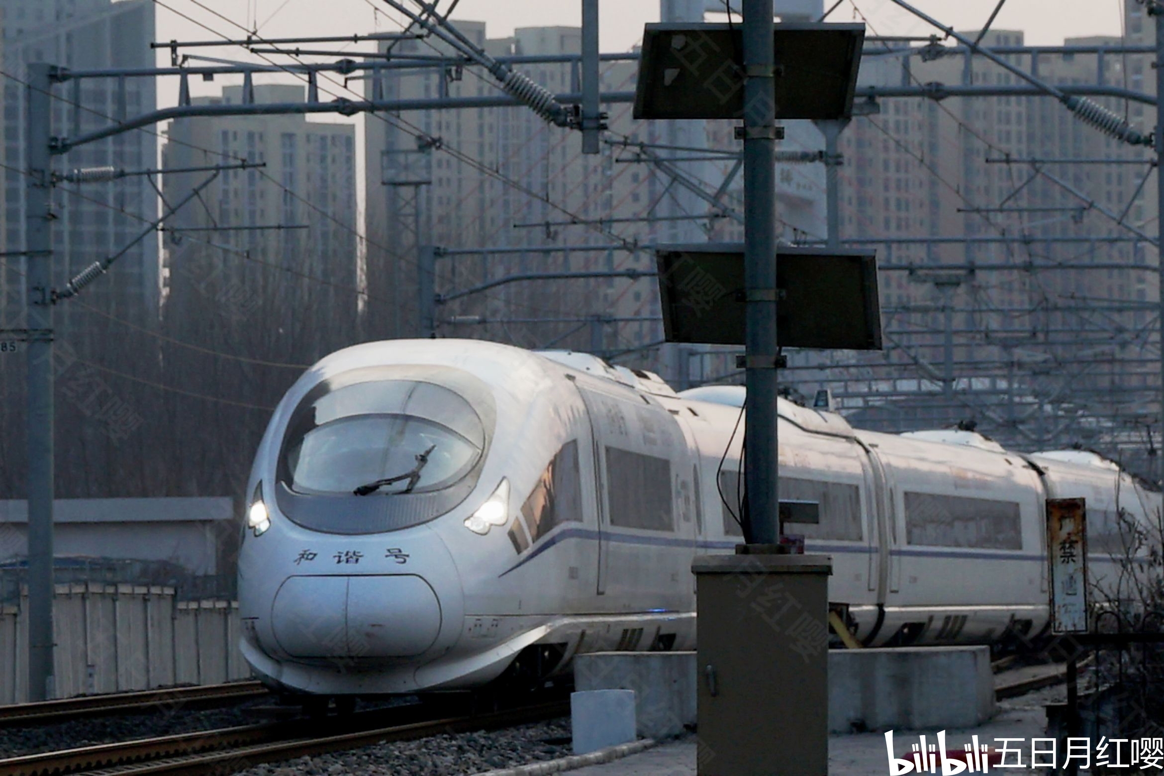 crh380cl(鲨鱼)随拍