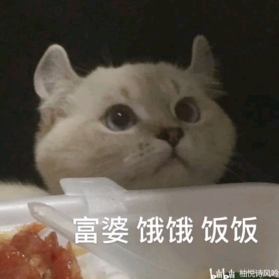 单身狗们的沙雕文案图片,单身狗们的沙雕文案图片大全