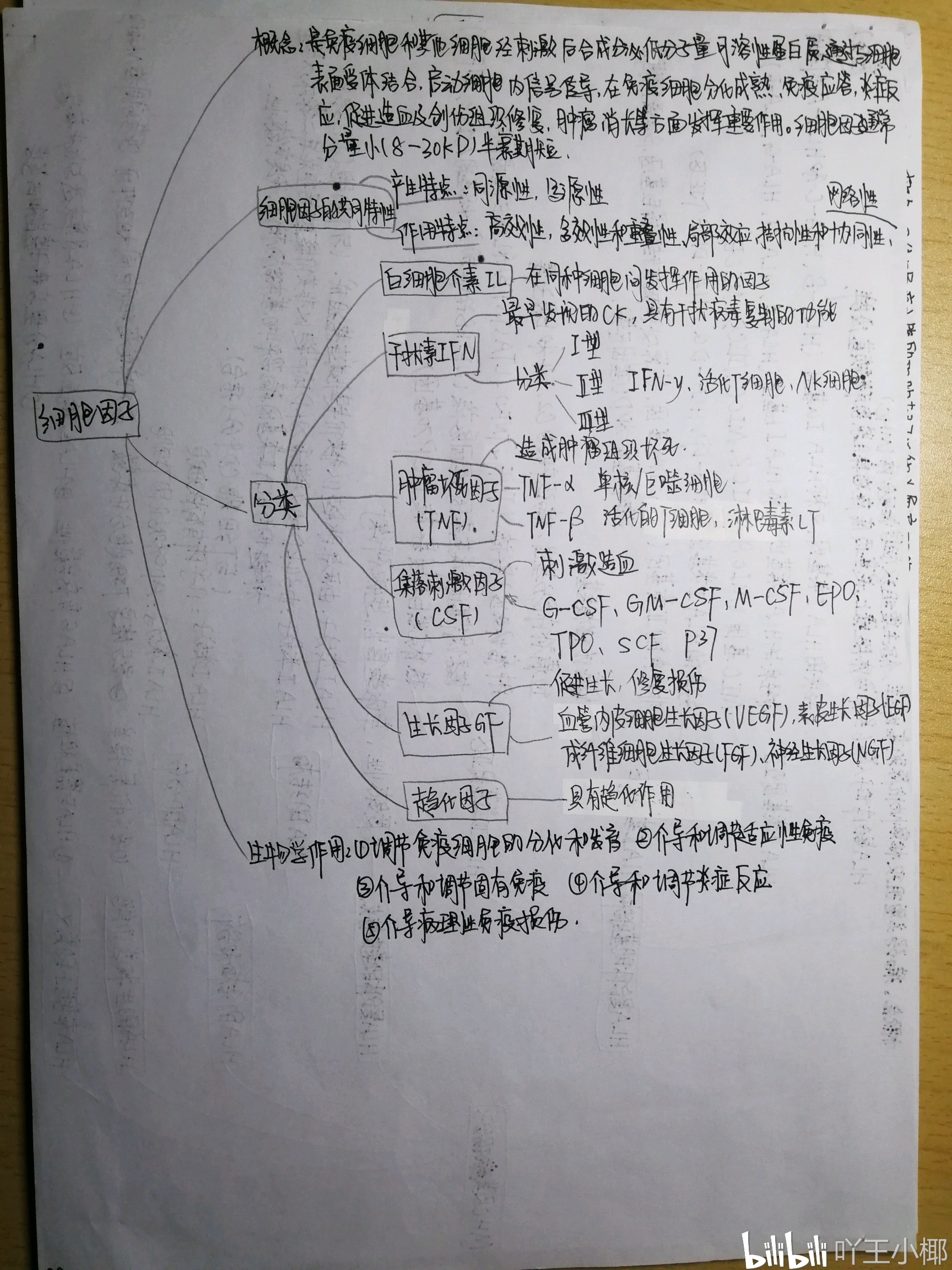 免疫学思维导图