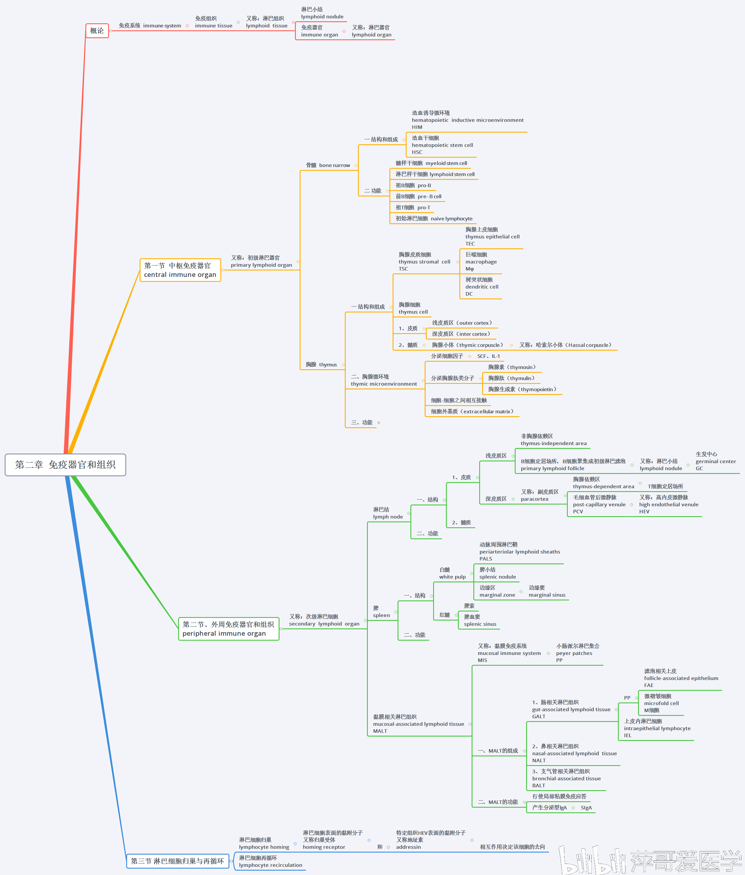 医学免疫学思维导图名词中英文对照【沈阳医学院】(1