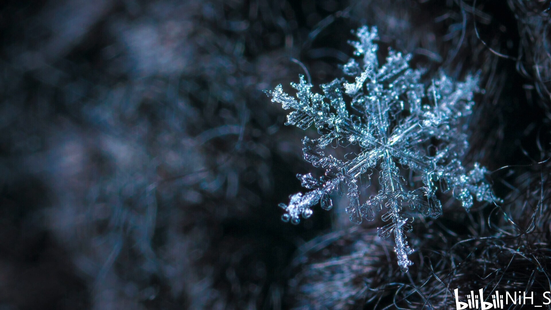 雪花主题高清动态壁纸