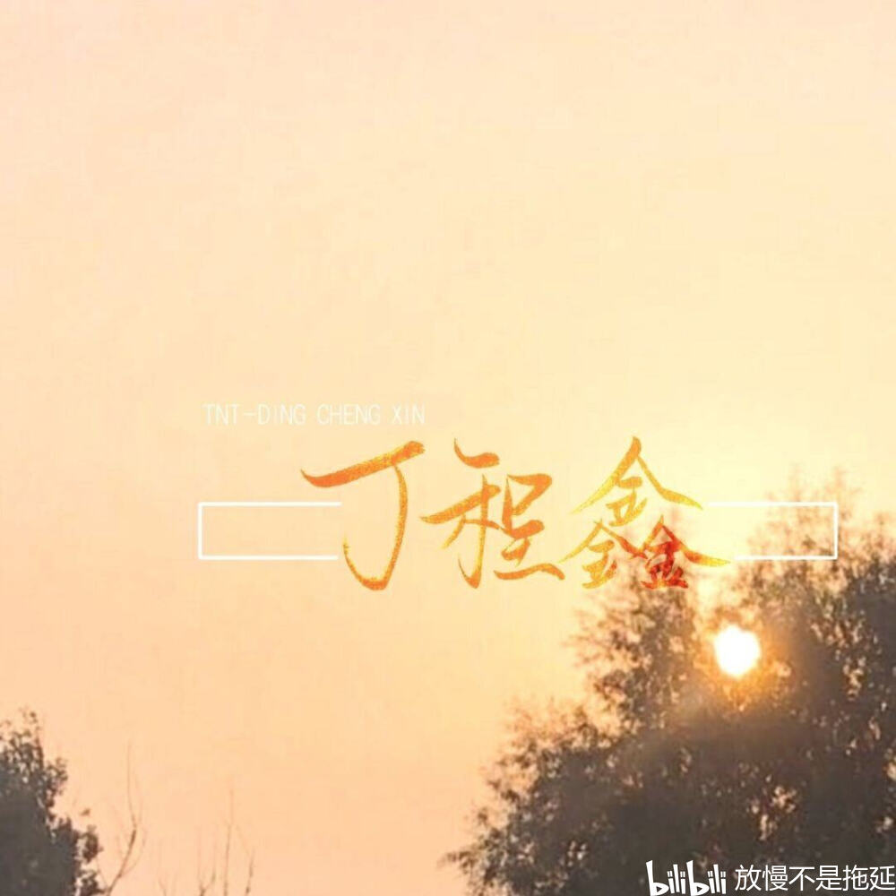 tnt时代少年团应援色(弹幕颜色可改)