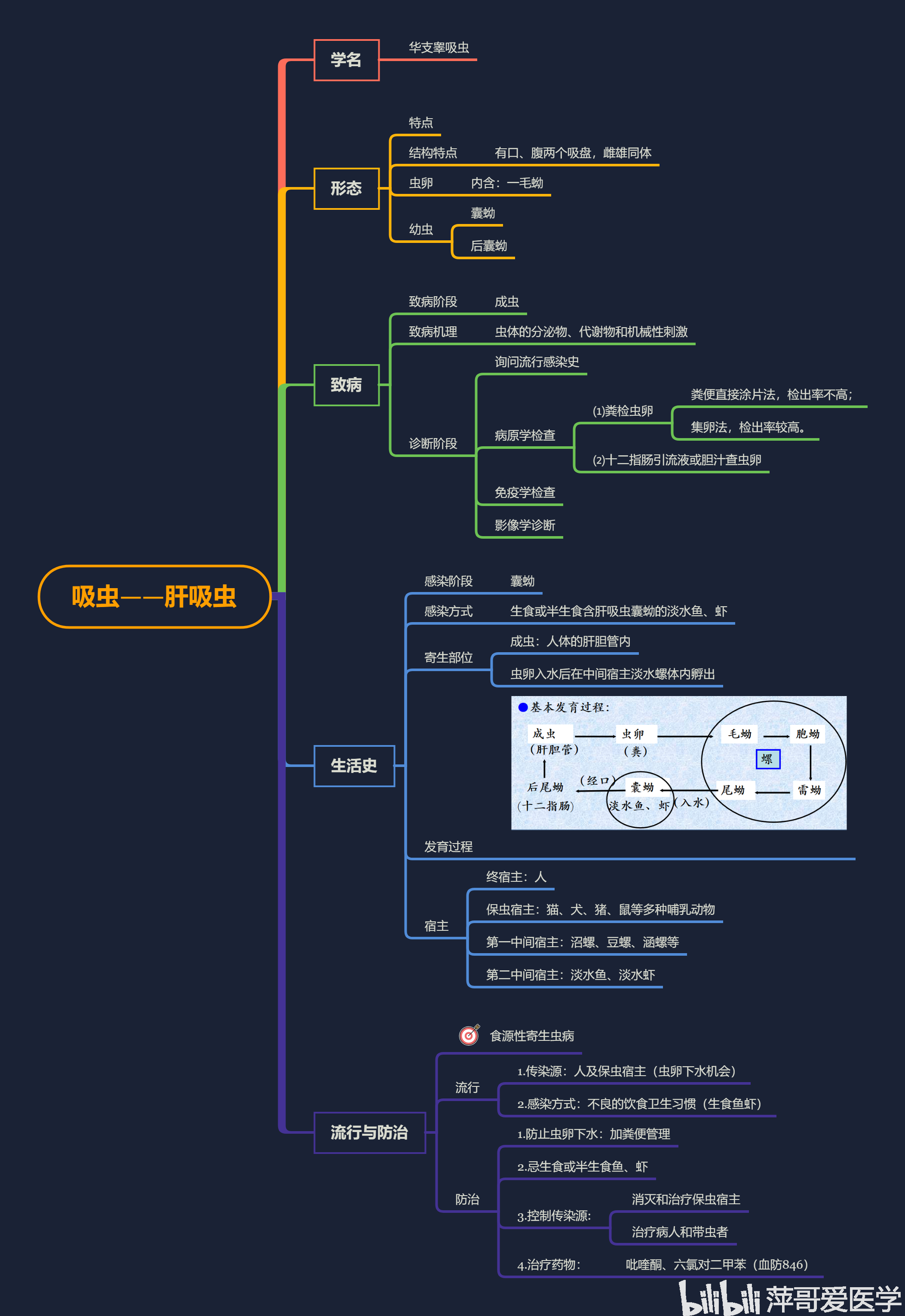 医学寄生虫学思维导图二【萍哥原创】20200603更新