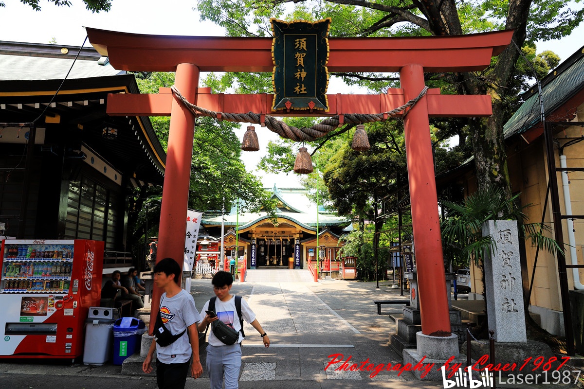 东京一日券:新宿御苑-须贺神社-东京站-秋叶原-原宿—