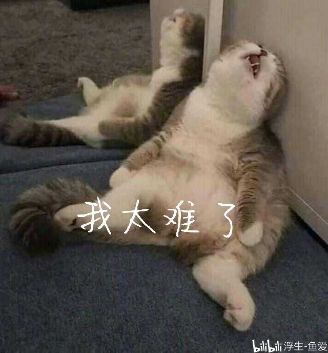 累死我了,快投个币点个赞