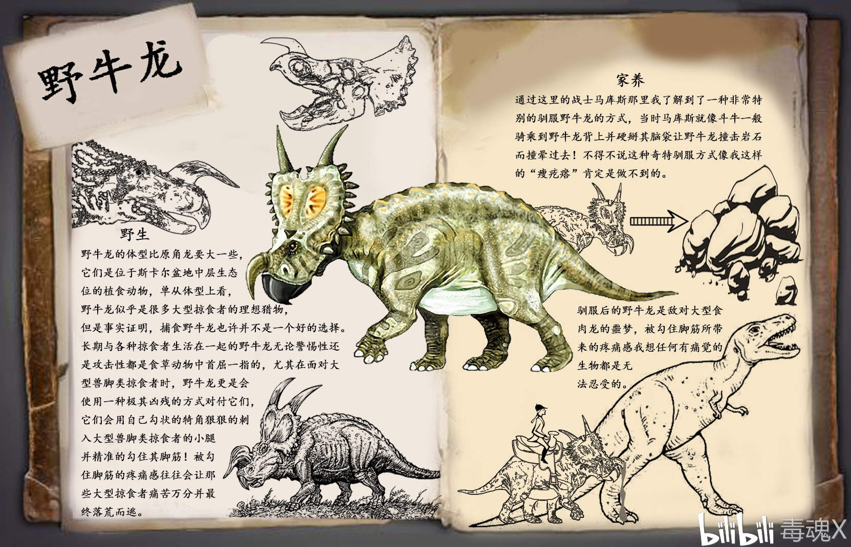 方舟自创生物:野牛龙