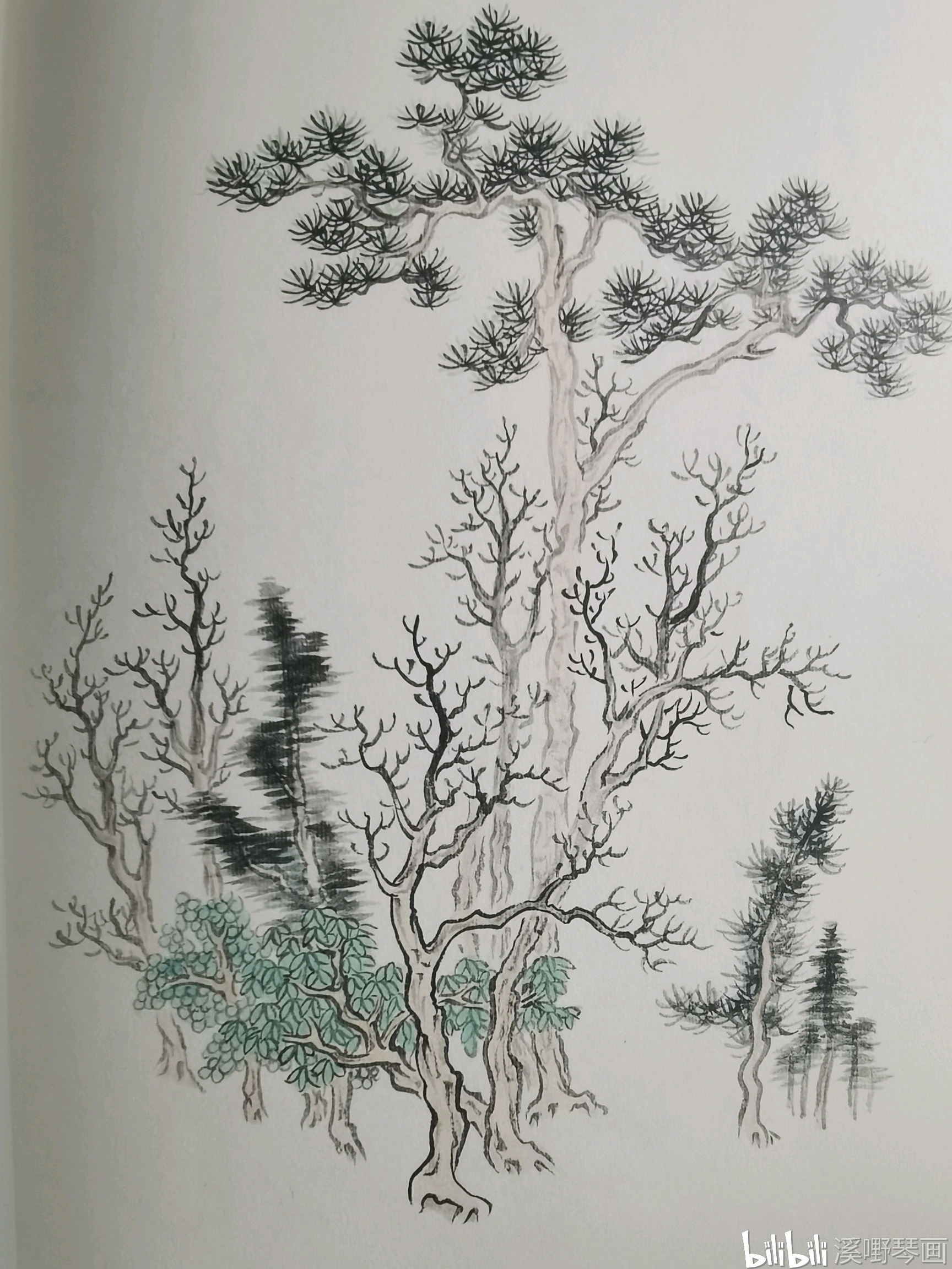 【国画】芥子园画传范宽刘松年杂树对临彩稿