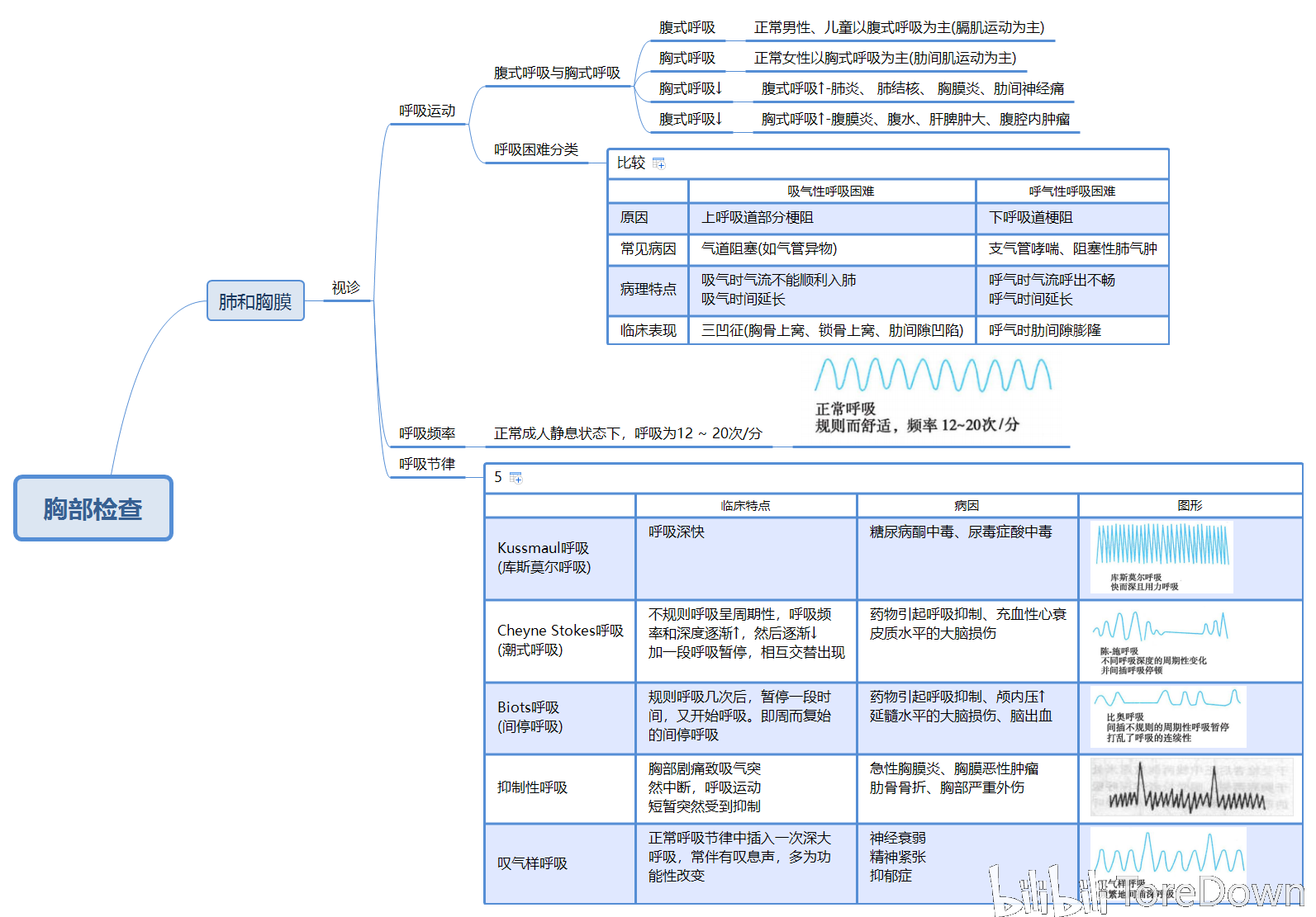 诊断学 思维导图