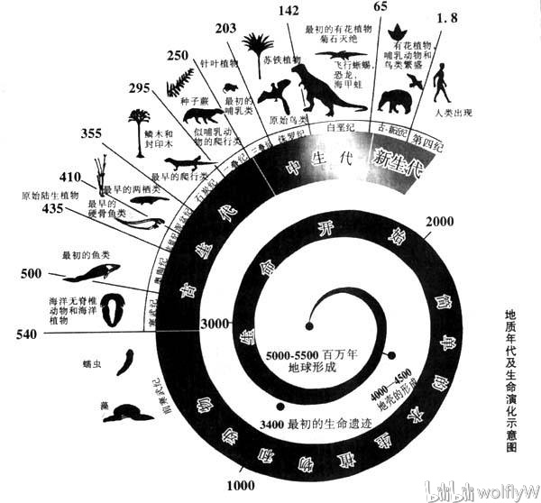 生命演化史