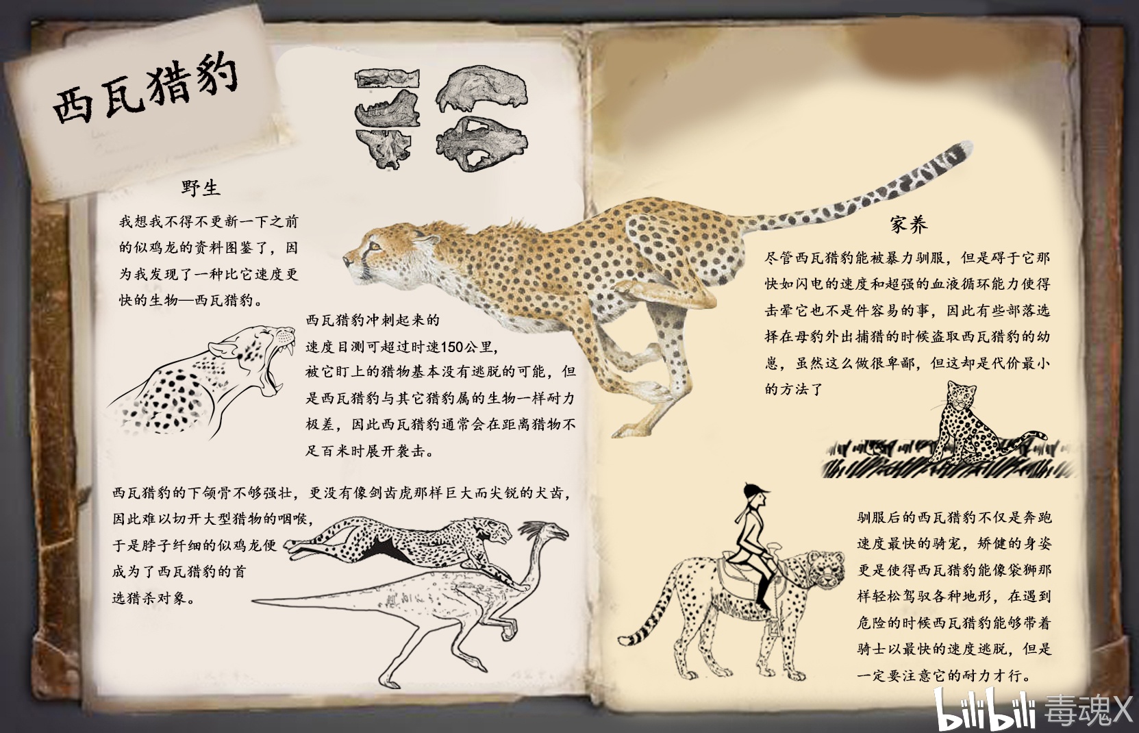 方舟自创生物:西瓦猎豹
