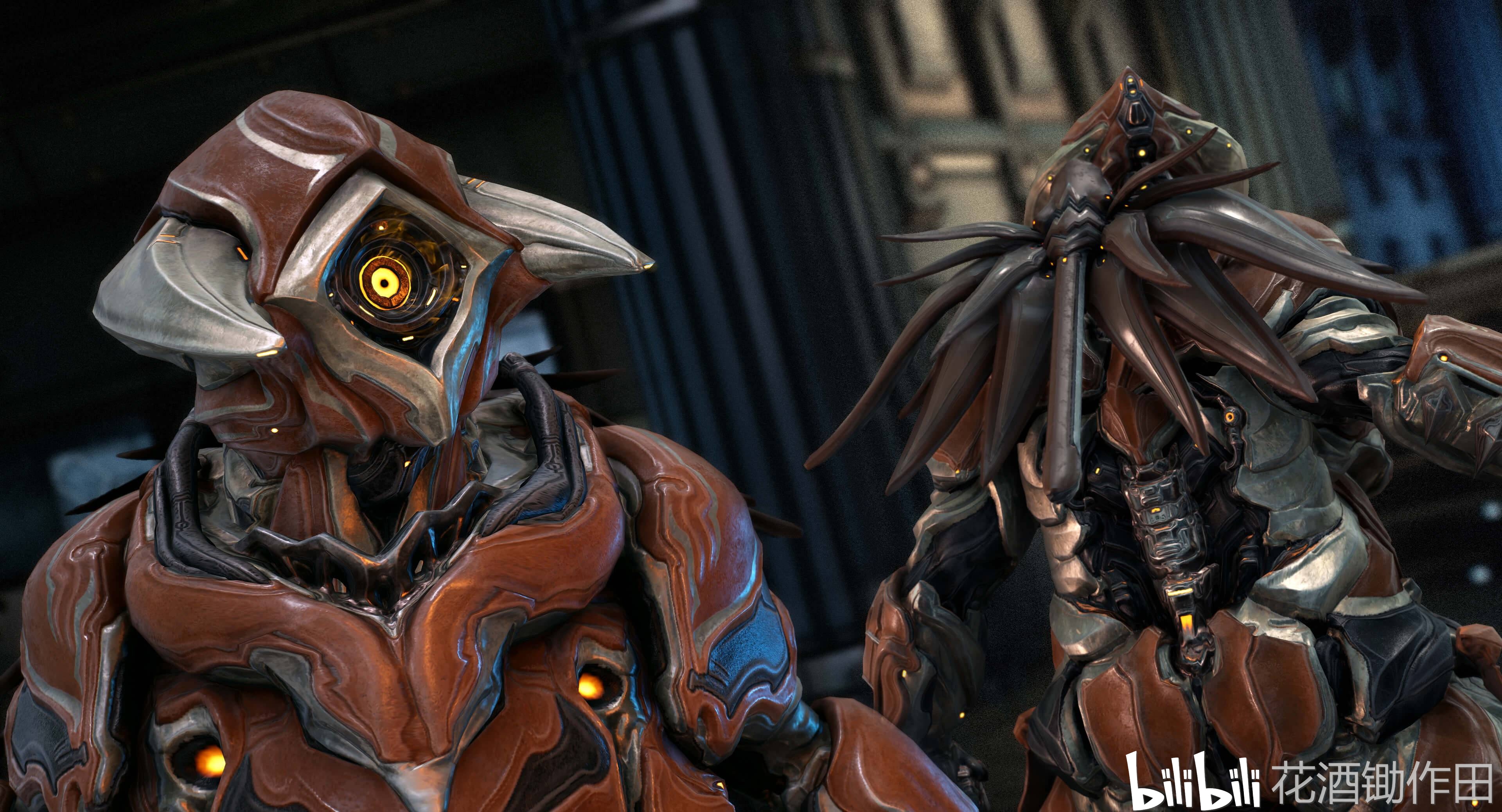 warframe血头凤尾笑猫,warframe笑猫 warframe更新:远古之血