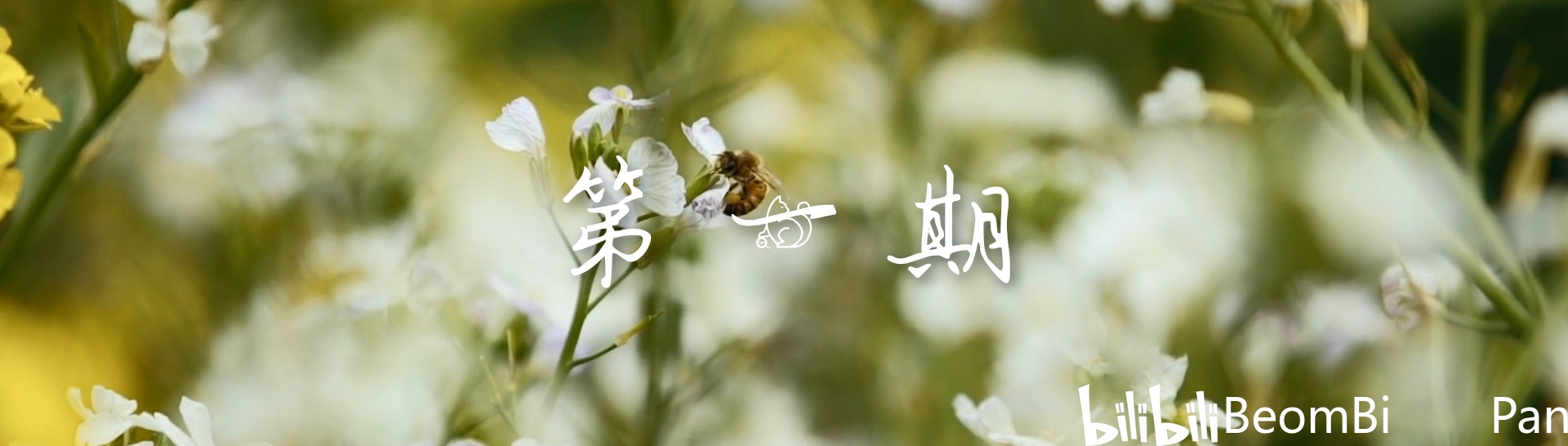《你好生活 第三季》综艺旁白以及部分字体字幕合集