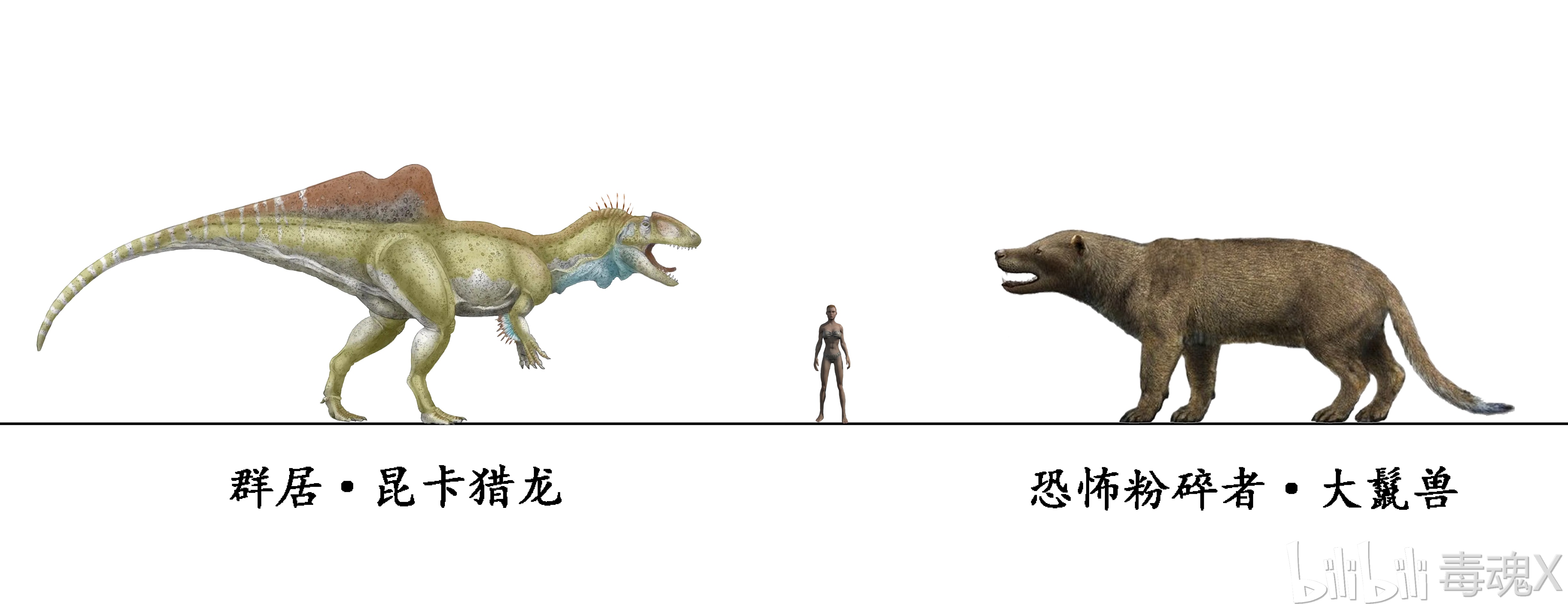 设置与不合理的技能设定,现实中真的存在群居·昆卡猎龙(concavenator