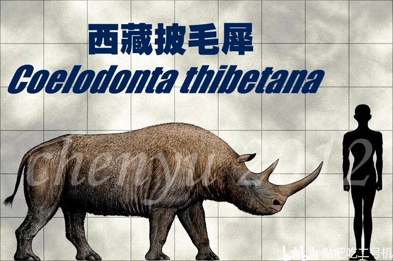 列数新生代除巨犀与大象外十大著名的陆生巨兽上