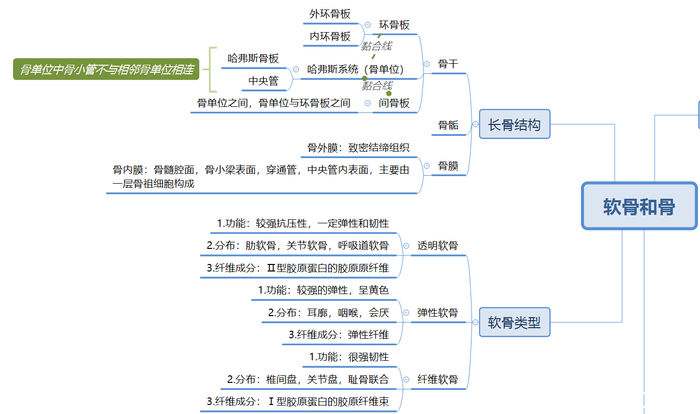 组织学与胚胎学(部分) 思维导图